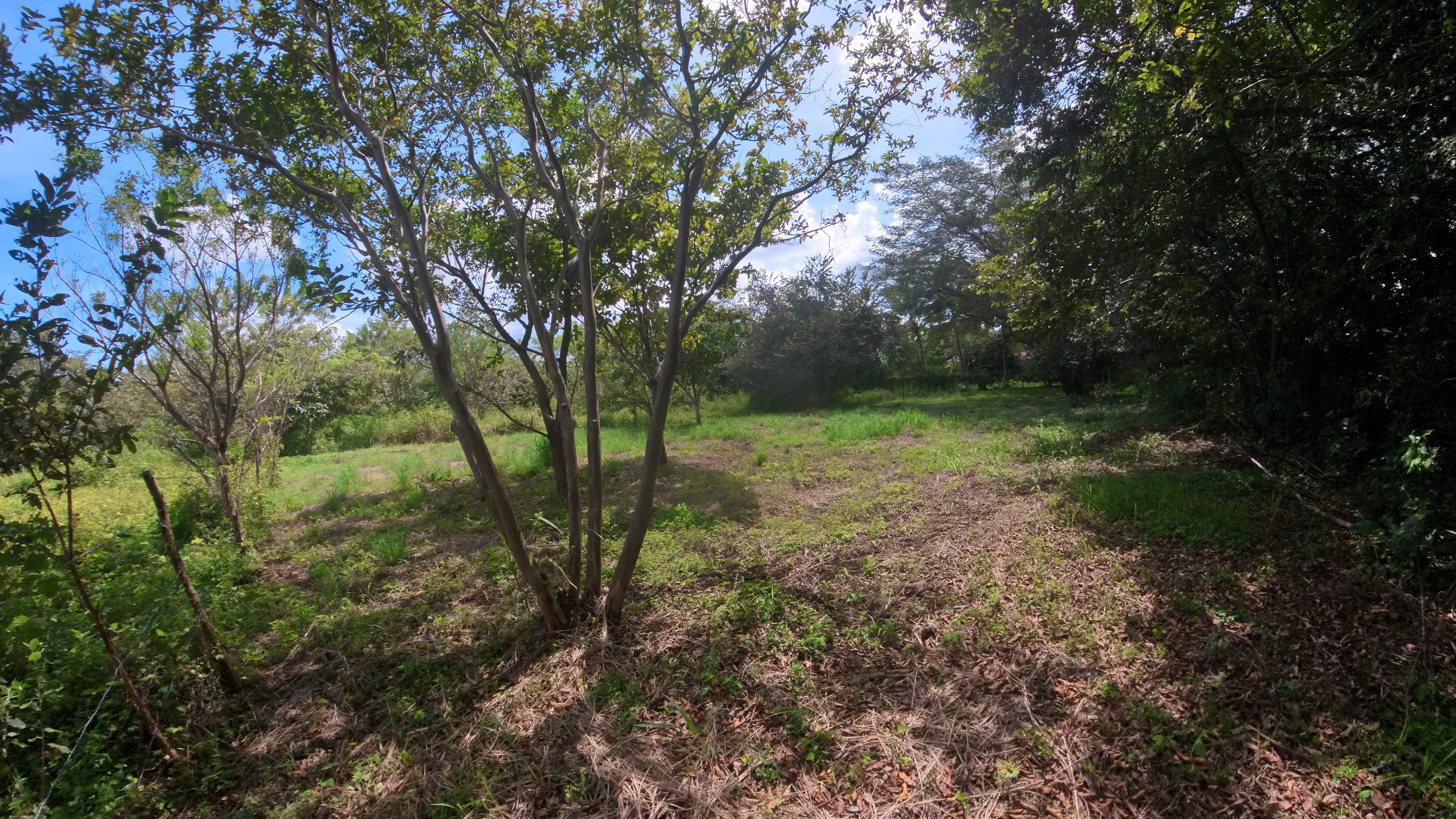 LOTE EN VENTA LA AMERICA - LIBERIA