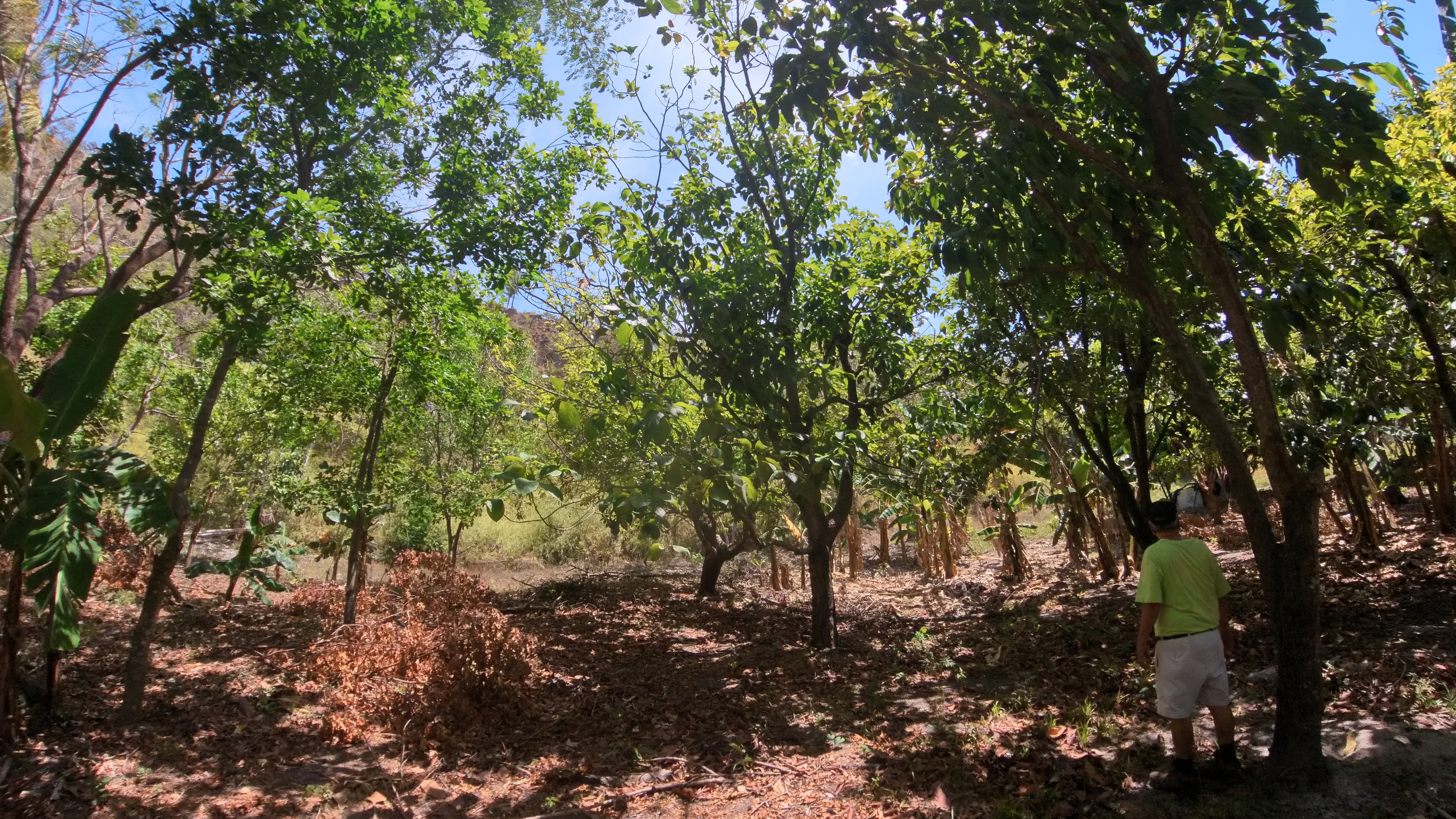 FINCA EN VENTA - EL ESCOBIO | LIBERIA