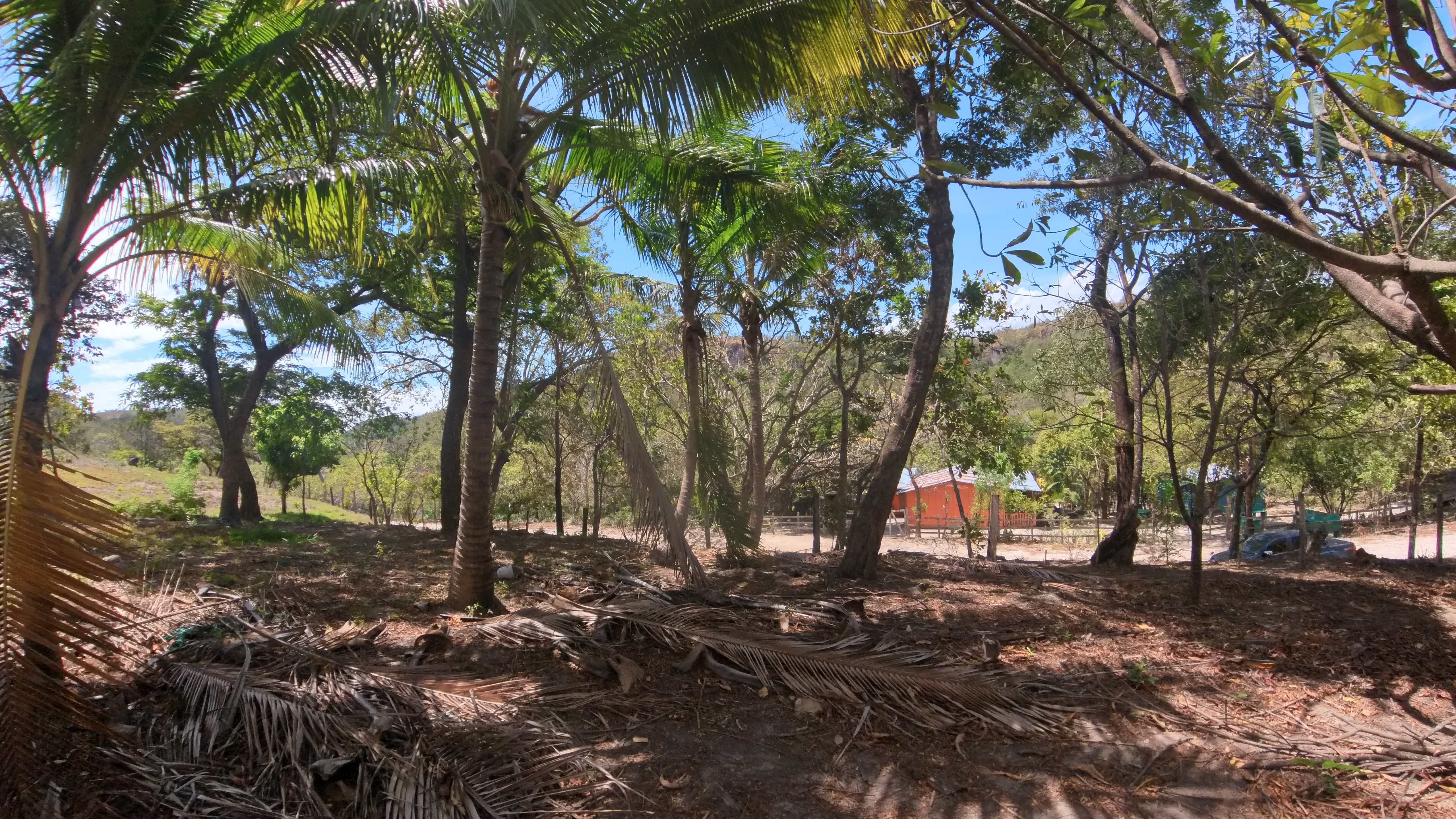 FINCA EN VENTA - EL ESCOBIO | LIBERIA