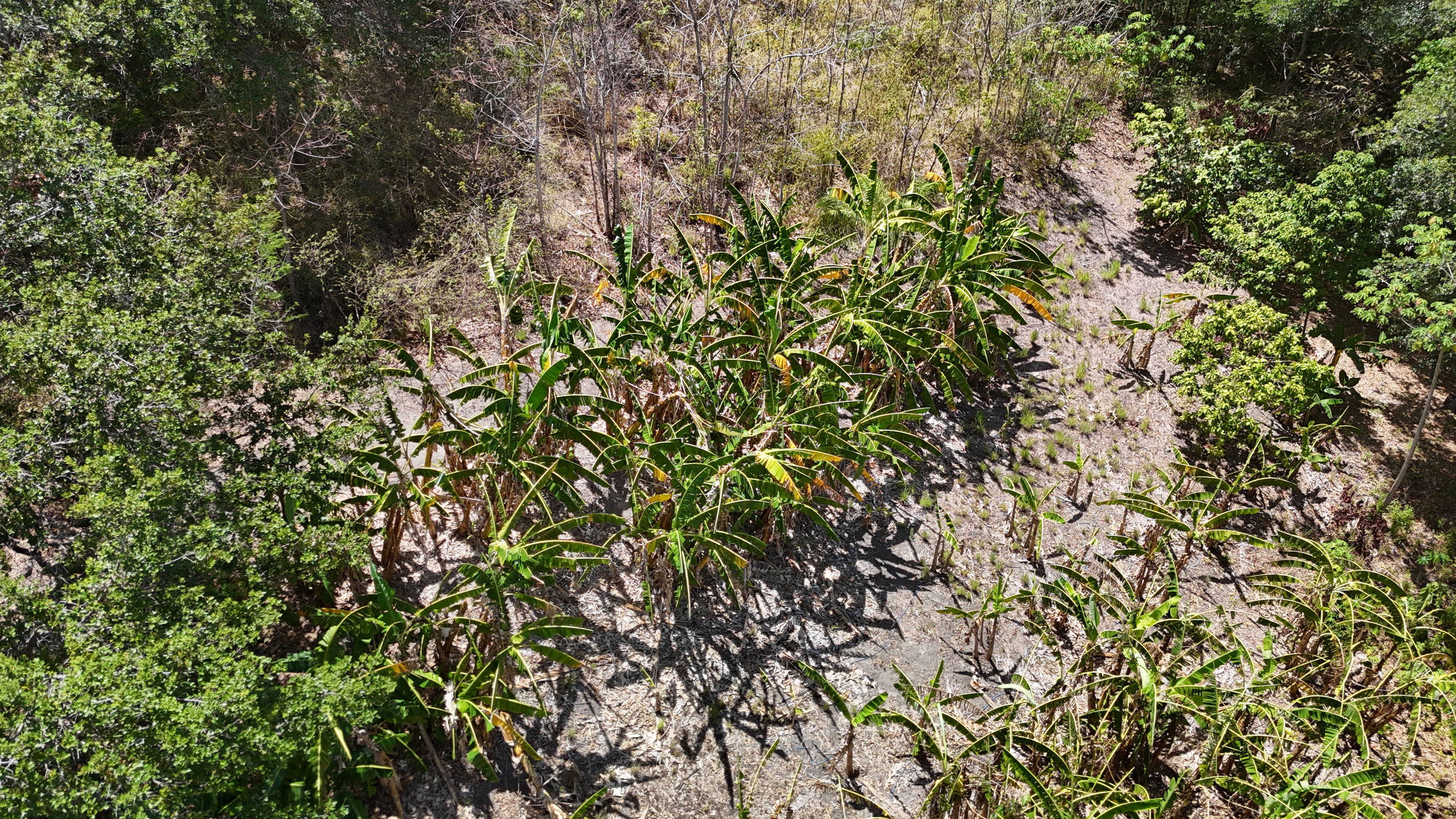 FINCA EN VENTA - EL ESCOBIO | LIBERIA