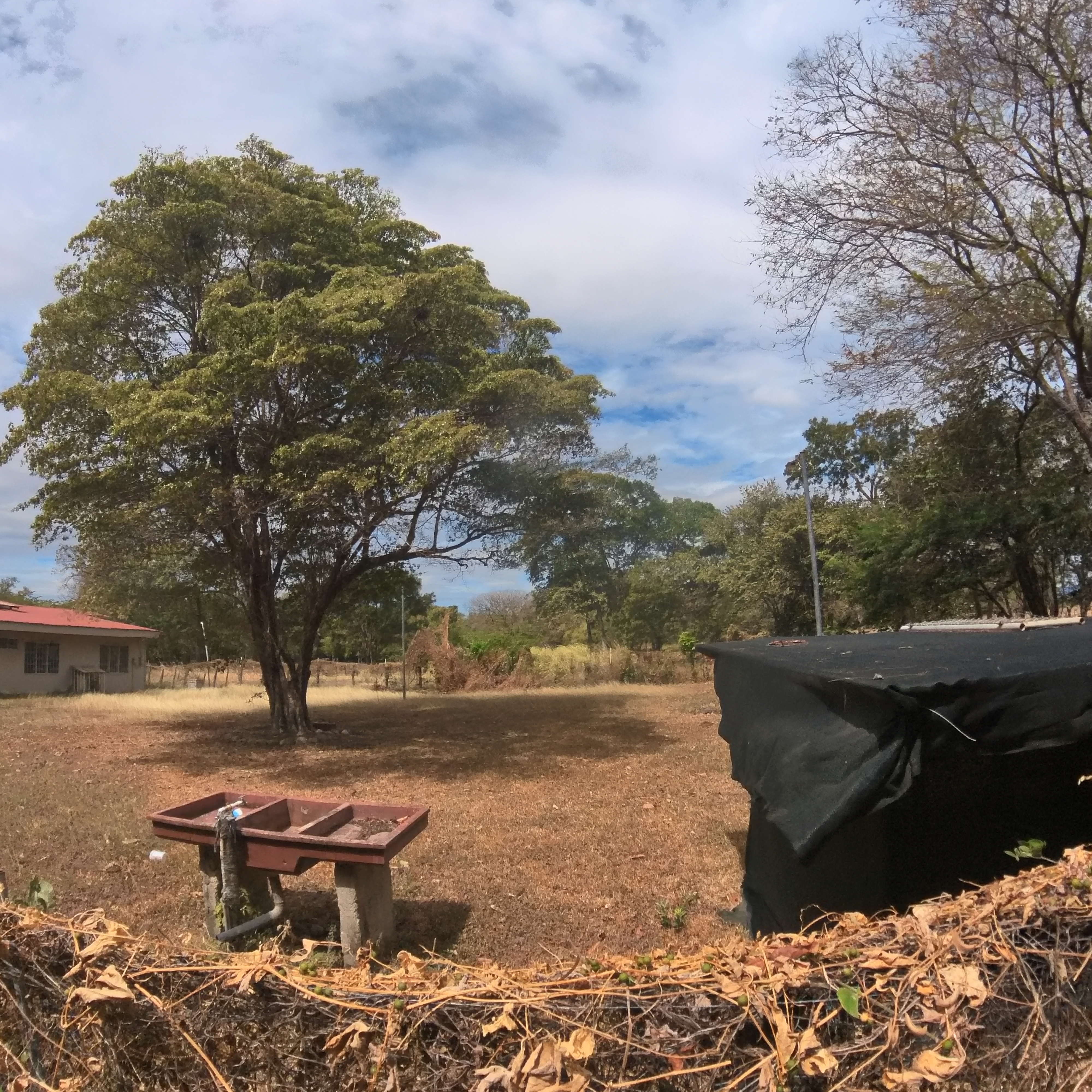 VENDO CASA TIPO QUINTA EN LA CARAÑA - LIBERIA