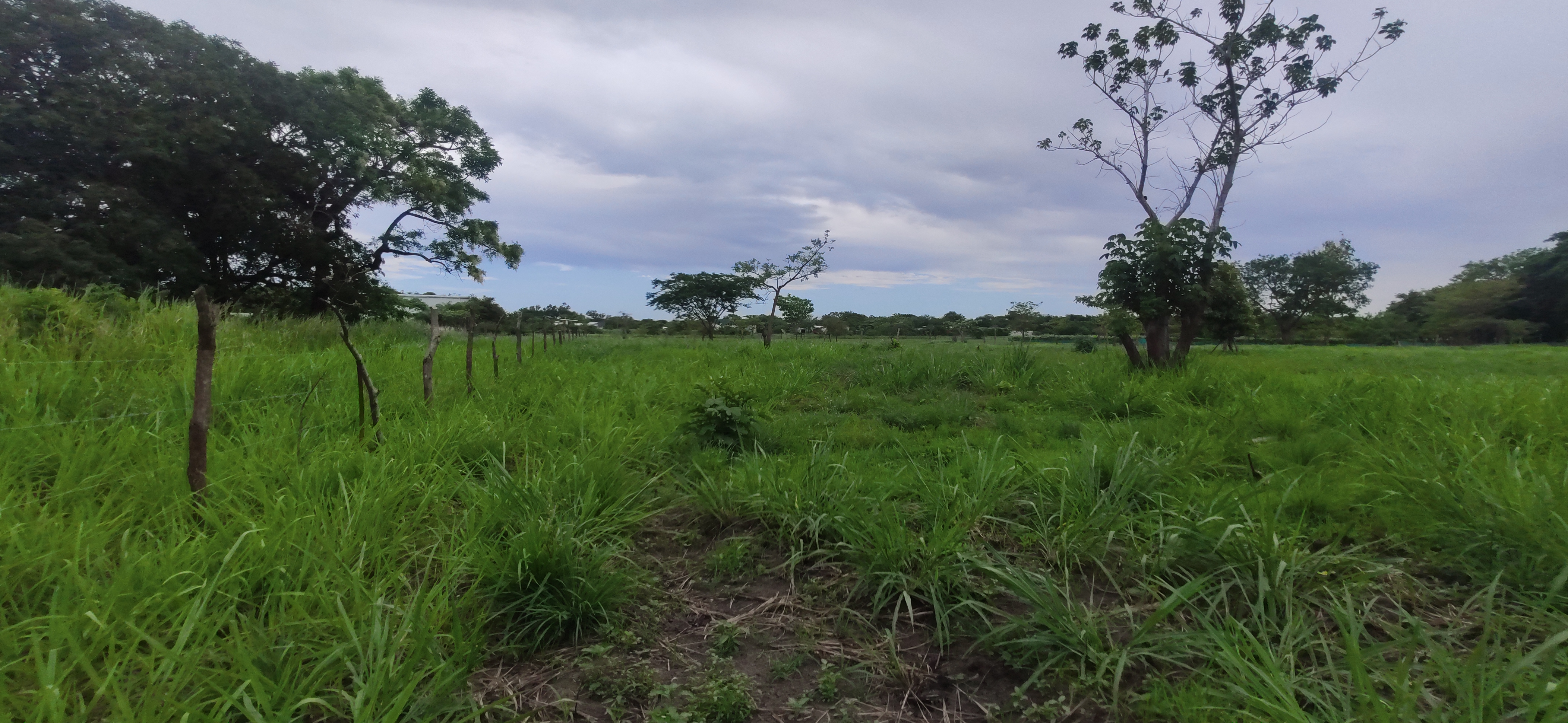LOTE COMERCIAL EN VENTA SANTA ANA - LIBERIA