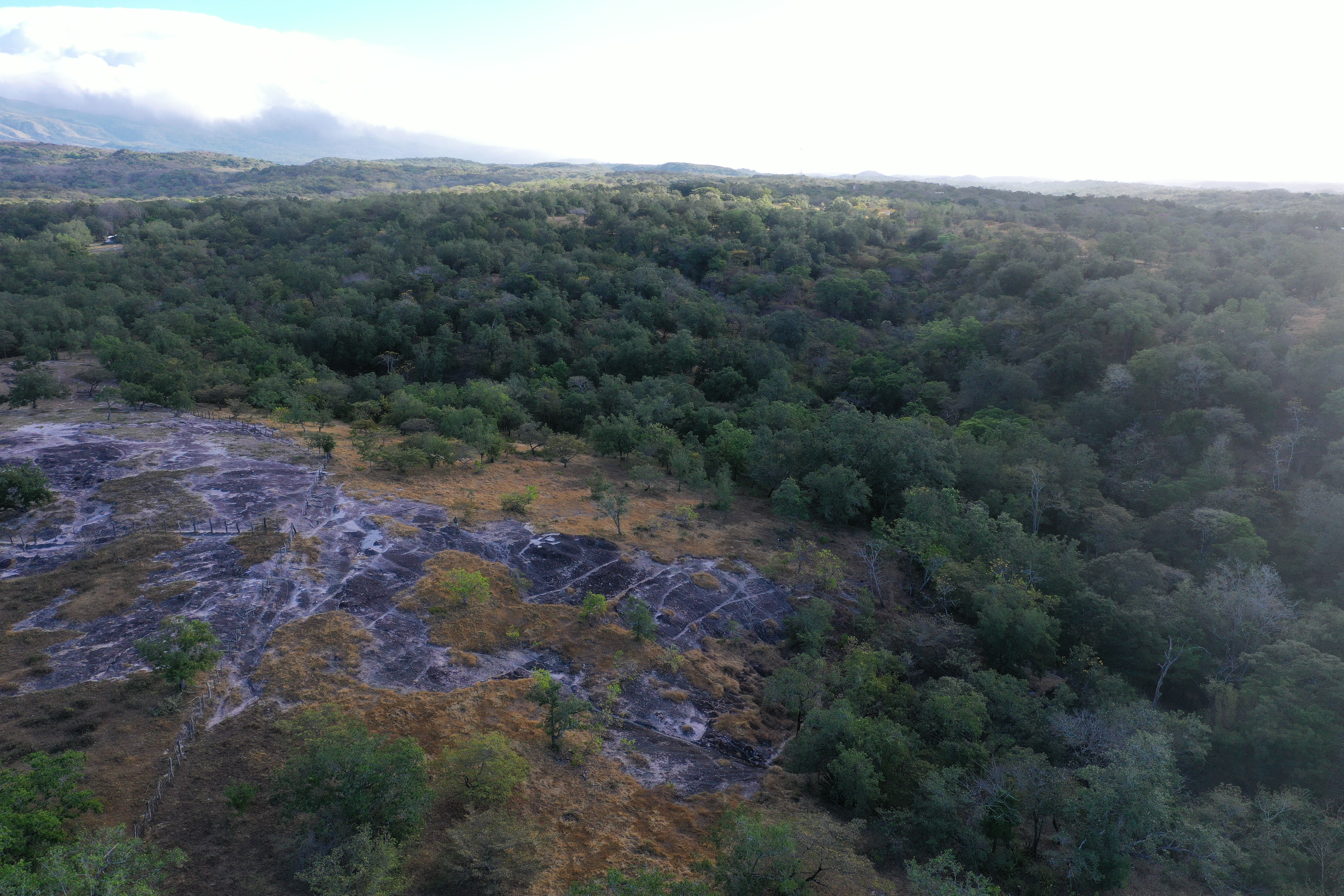 FARM FOR SALE - CURUBANDE | LIBERIA