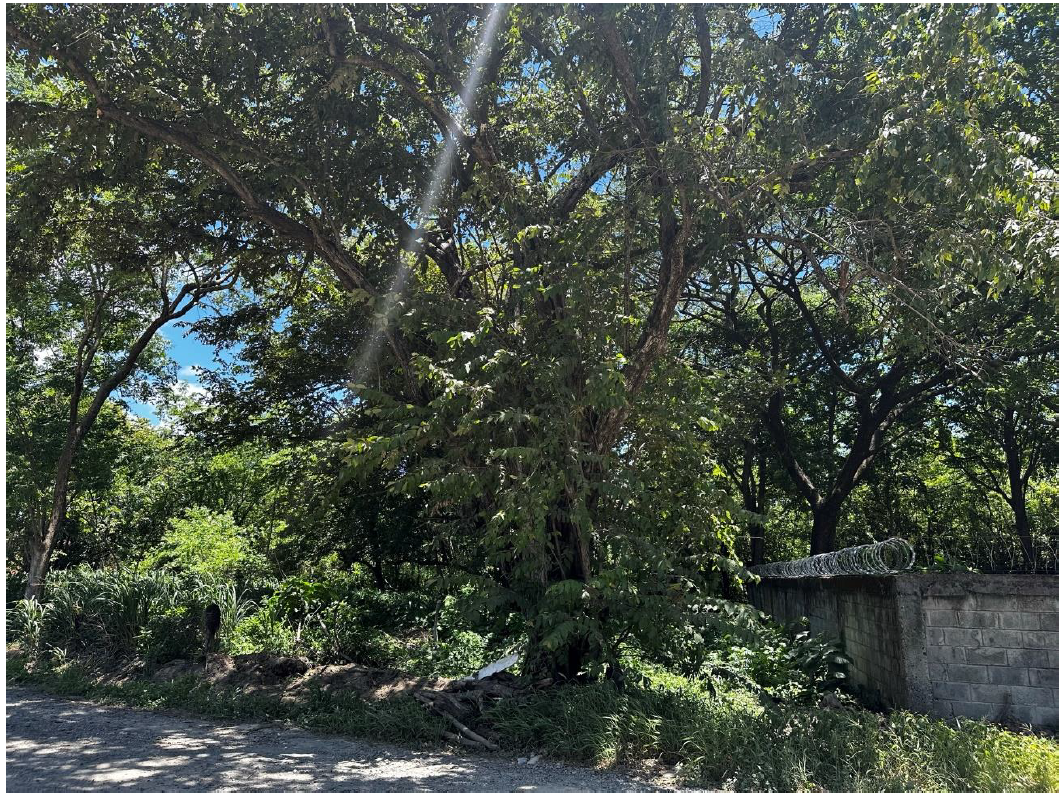 LOTE EN VENTA - LIBERIA | BARRIO LA CRUZ