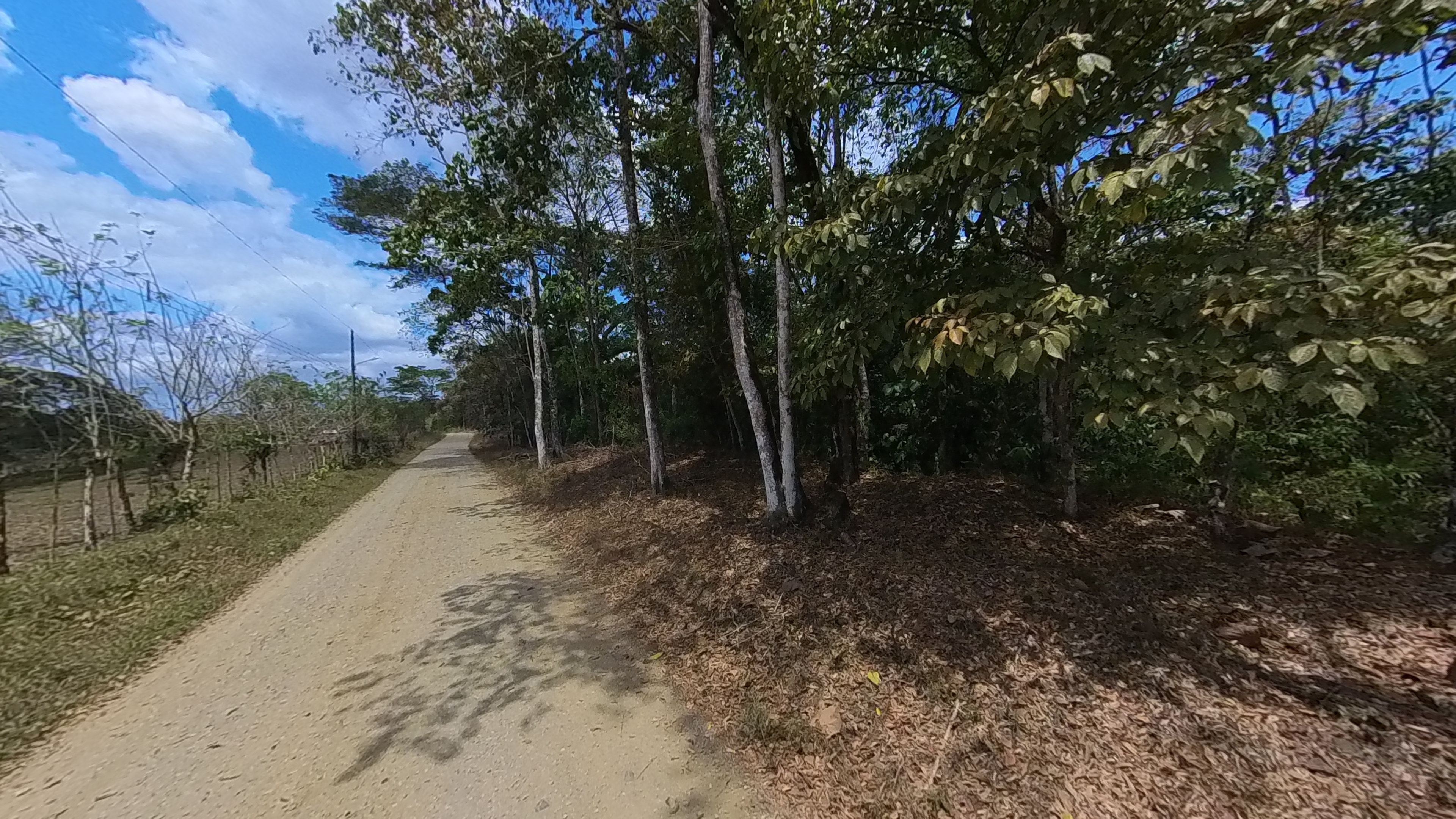 Rosibel Farm, Birdwatching paradise, La Verbena, Upala, Costa Rica