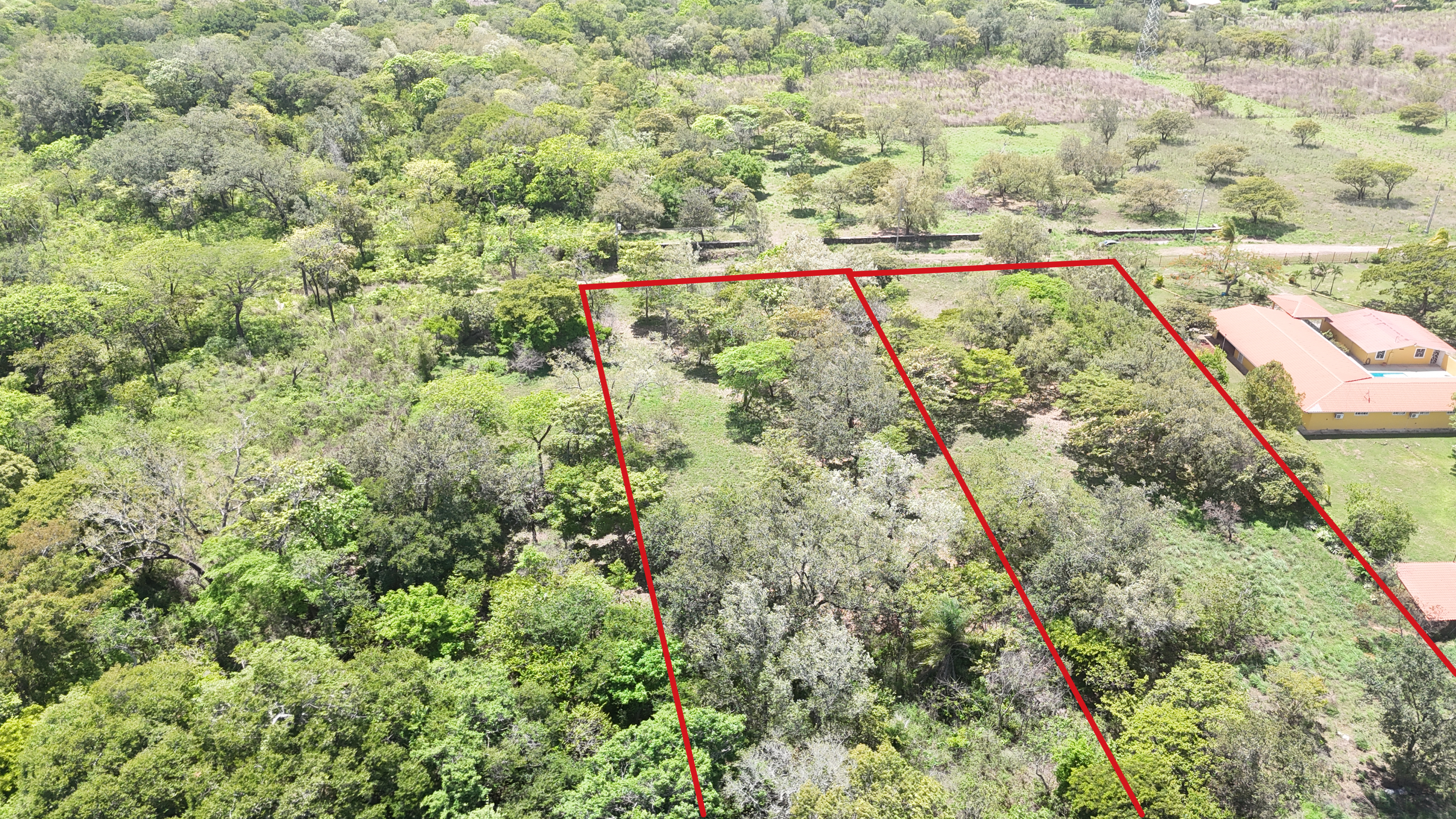 VENDO TERRENOS 5,000 m² - CAÑAS DULCES | LIBERIA