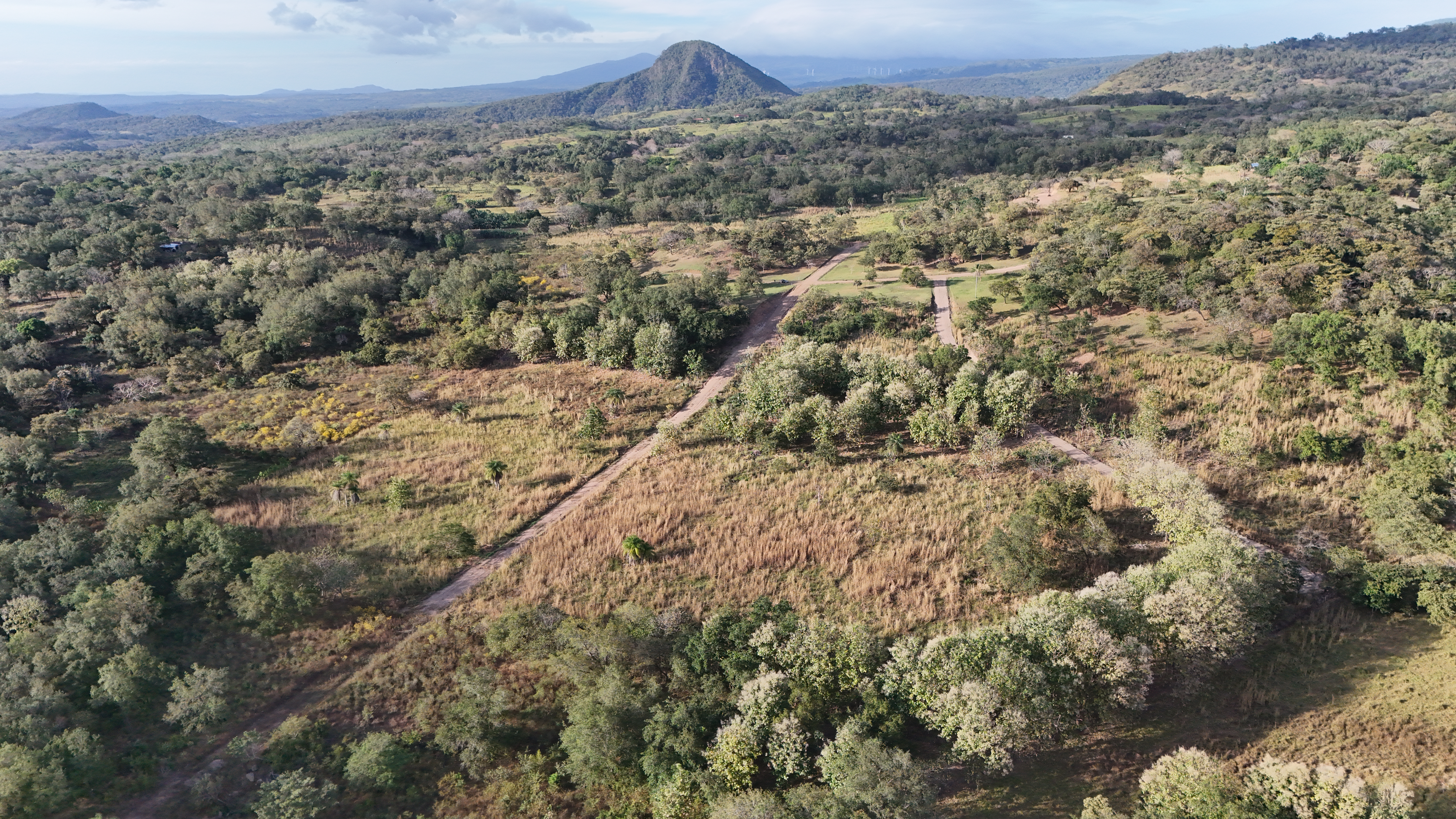VENDO TERRENOS DE 5000m² - CAÑAS DULCES | LIBERIA