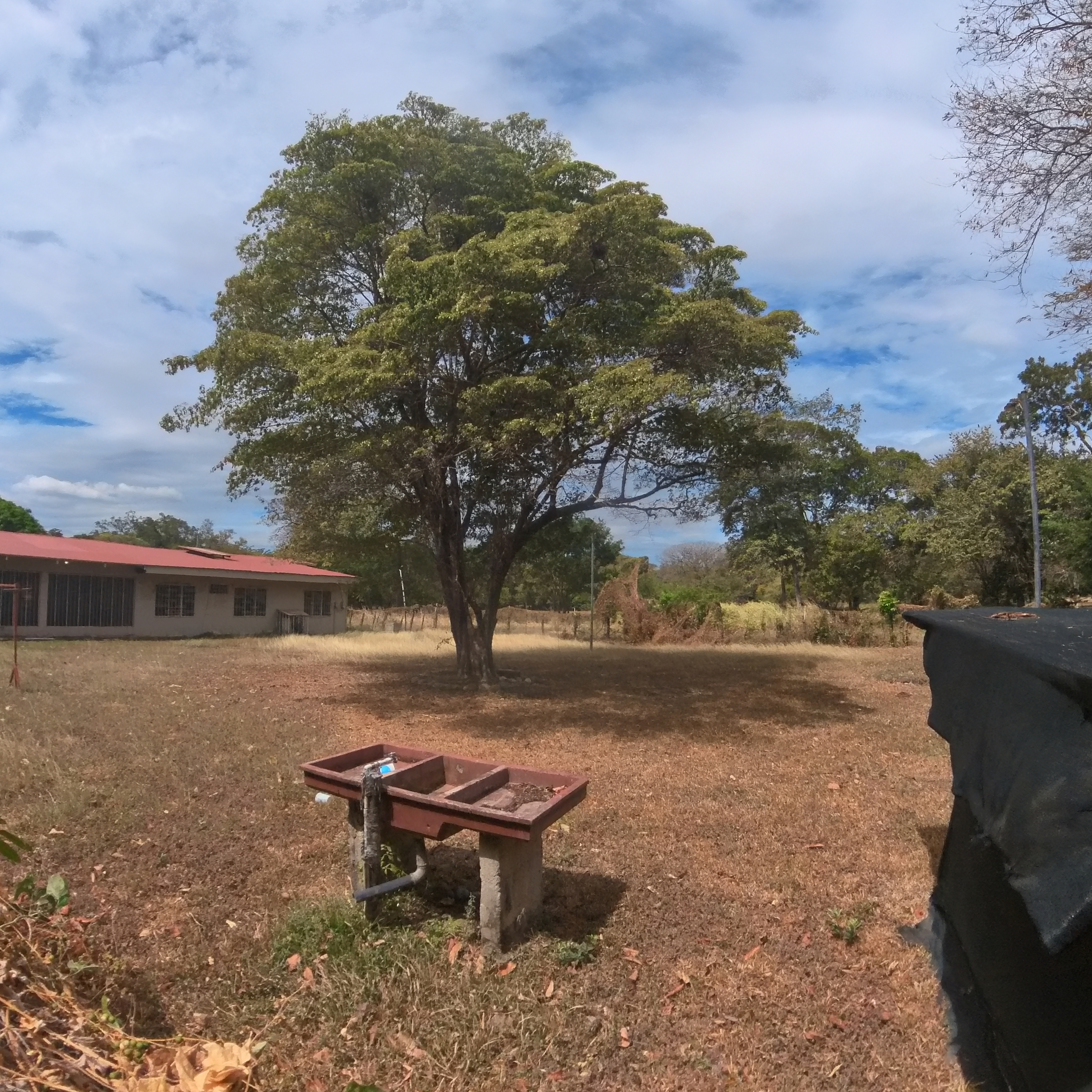 VENDO CASA TIPO QUINTA EN LA CARAÑA - LIBERIA