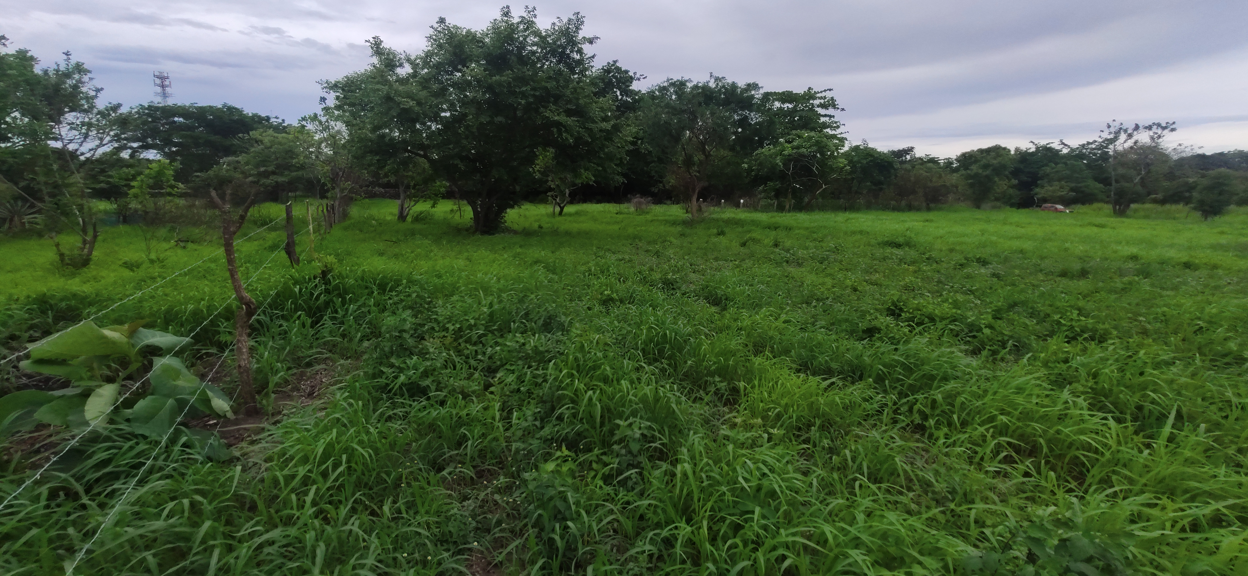LOTE COMERCIAL EN VENTA SANTA ANA - LIBERIA