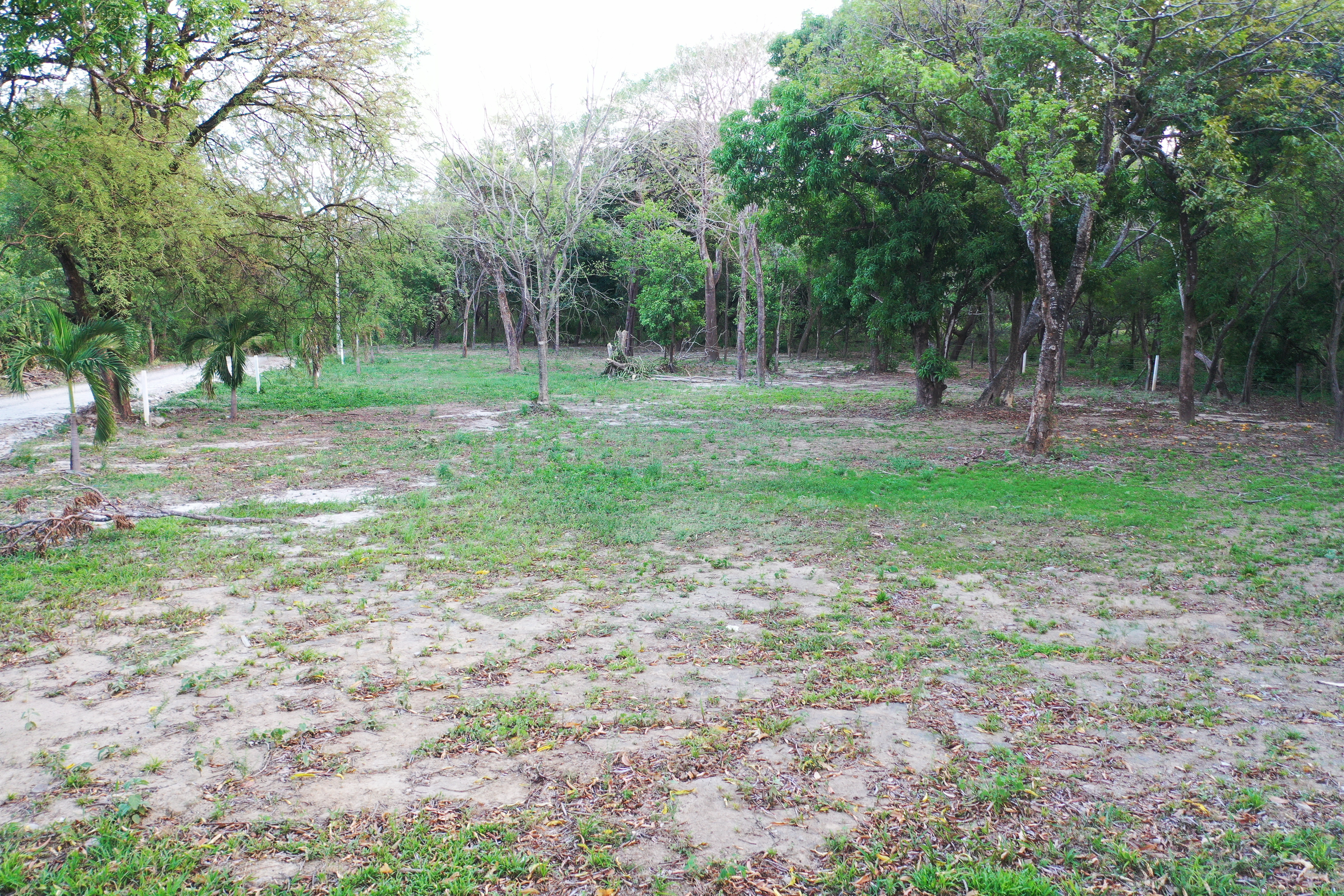 Lotes en venta Bosques del Cambalache, Liberia, Guanacaste