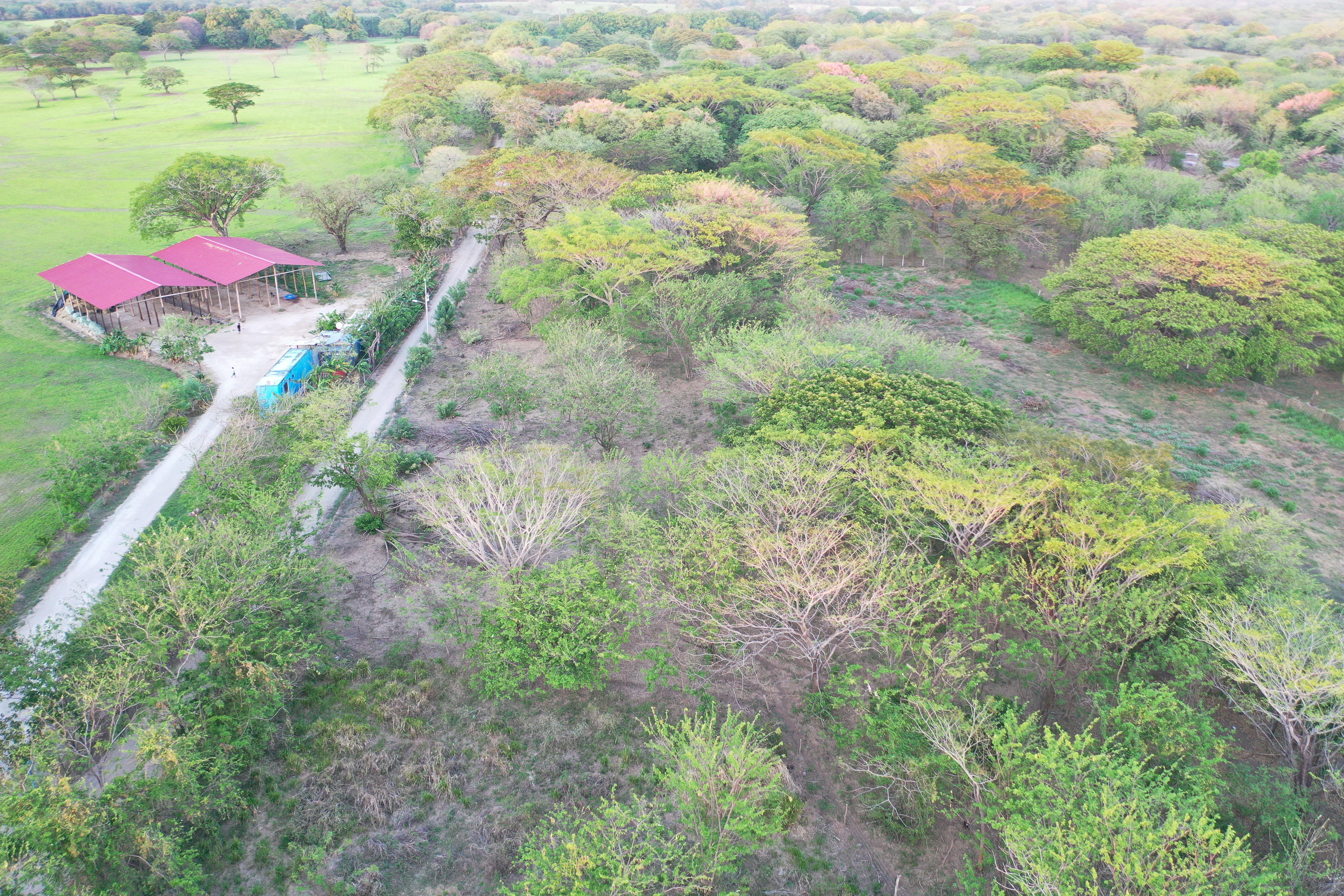 Lotes en venta para construir El Trapiche, Liberia, Guanacaste