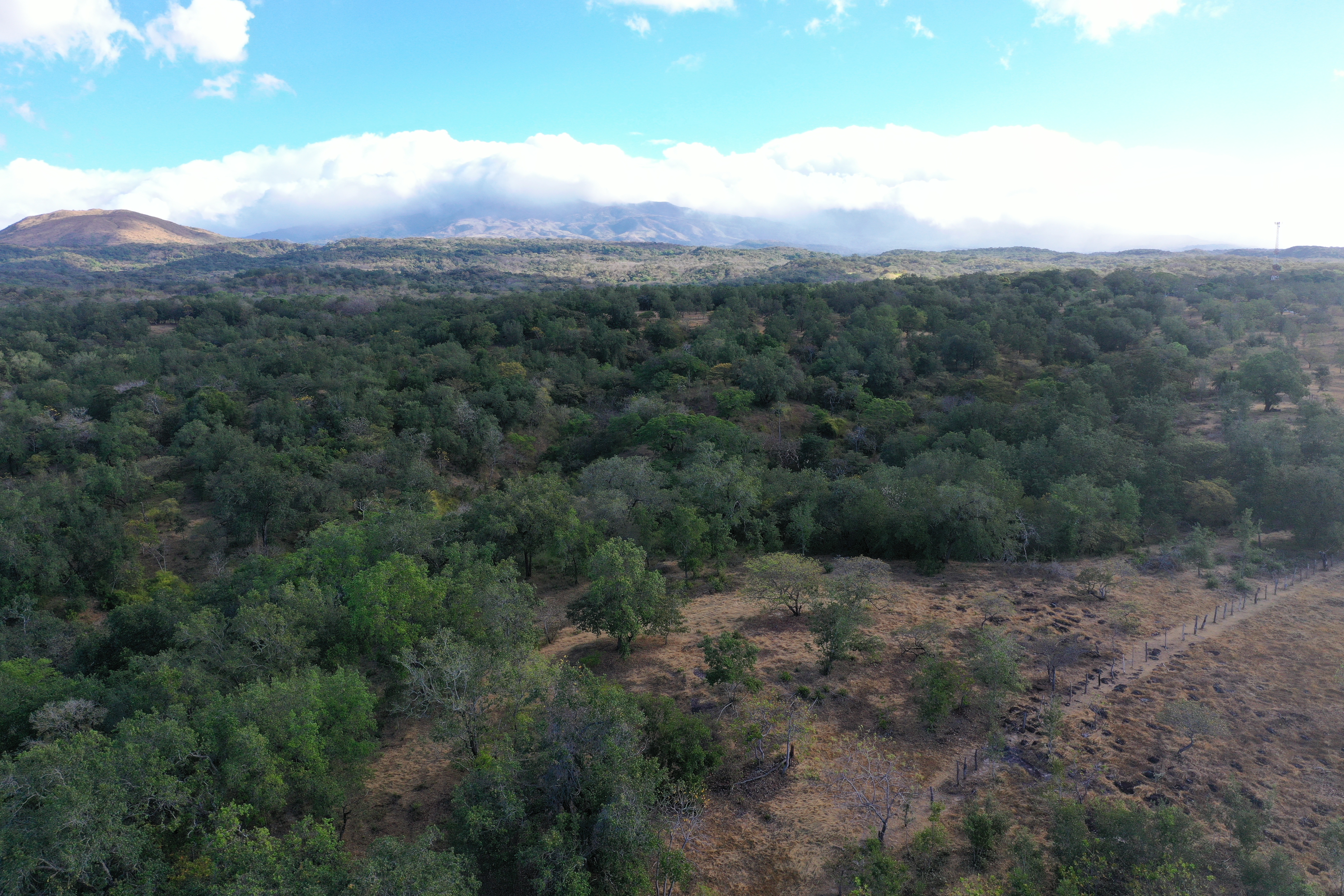 FARM FOR SALE - CURUBANDE | LIBERIA