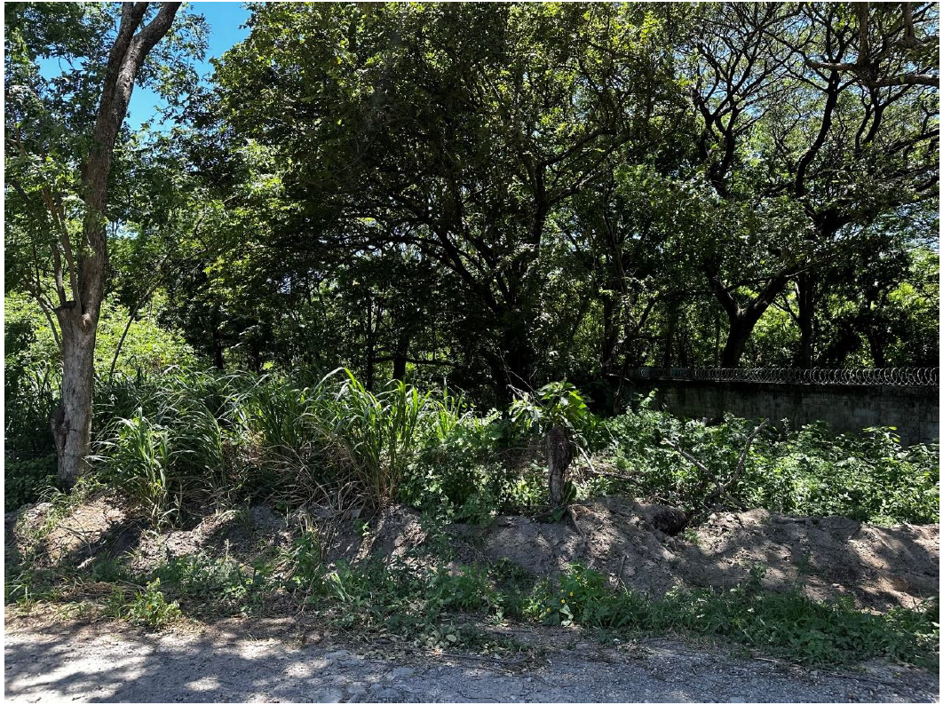 LOTE EN VENTA - LIBERIA | BARRIO LA CRUZ