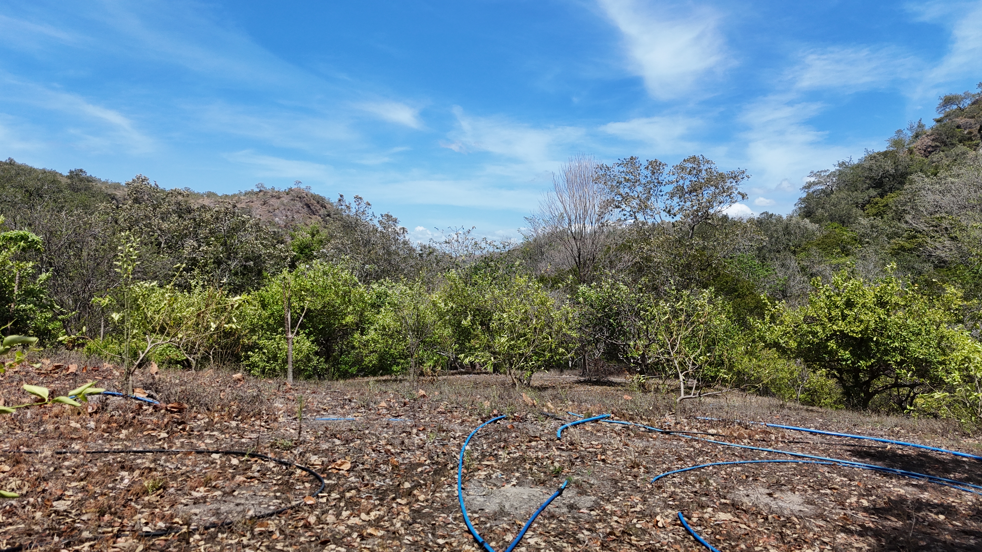 FINCA EN VENTA - EL ESCOBIO | LIBERIA