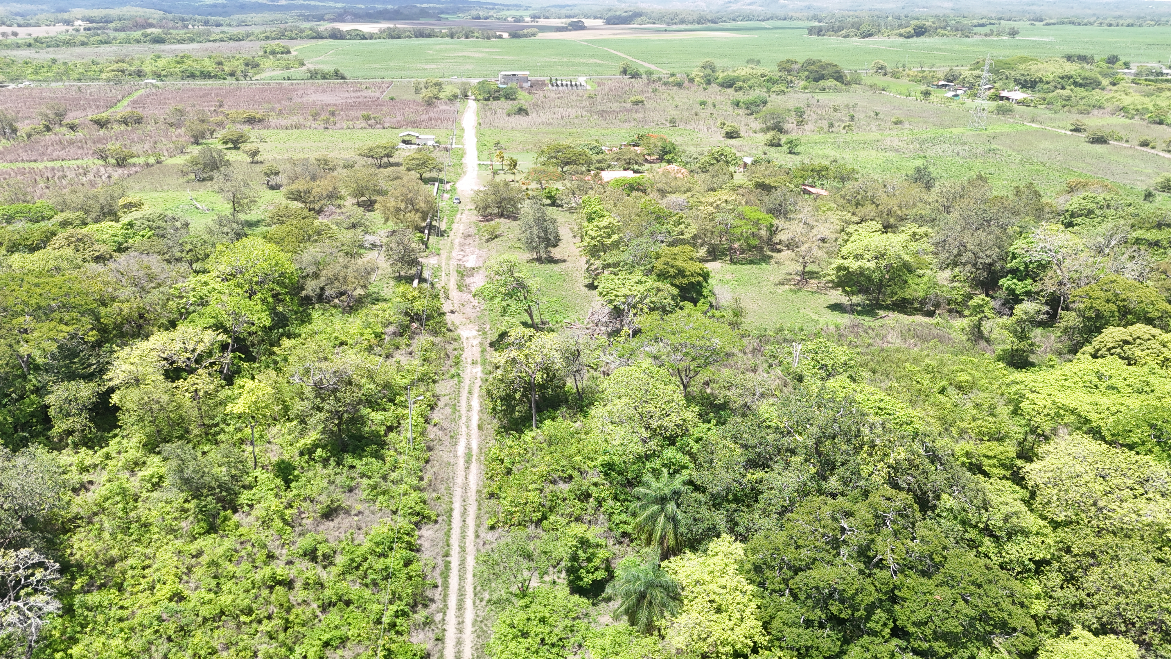 VENDO TERRENOS 5,000 m² - CAÑAS DULCES | LIBERIA