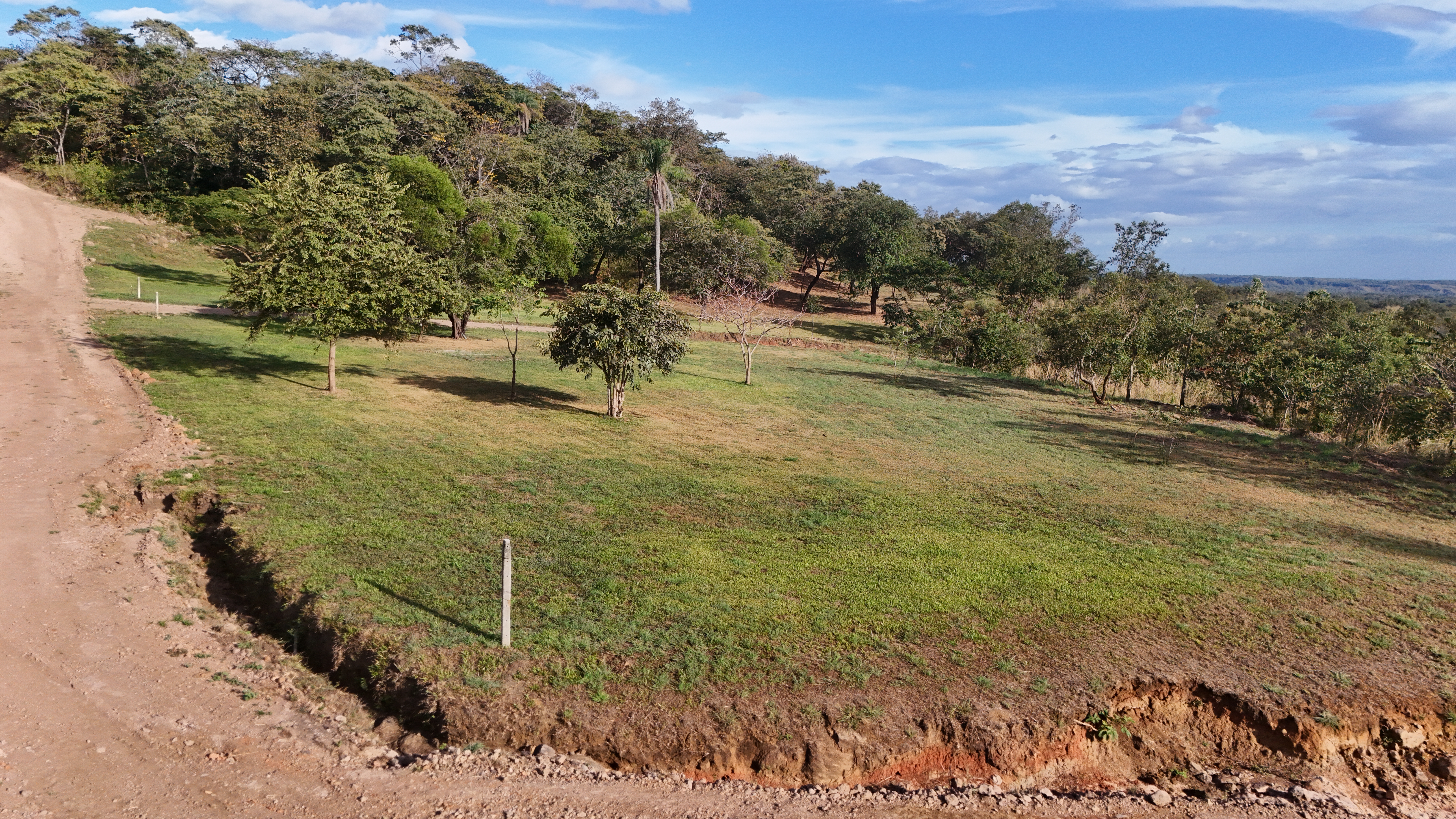 VENDO TERRENOS DE 5000m² - CAÑAS DULCES | LIBERIA