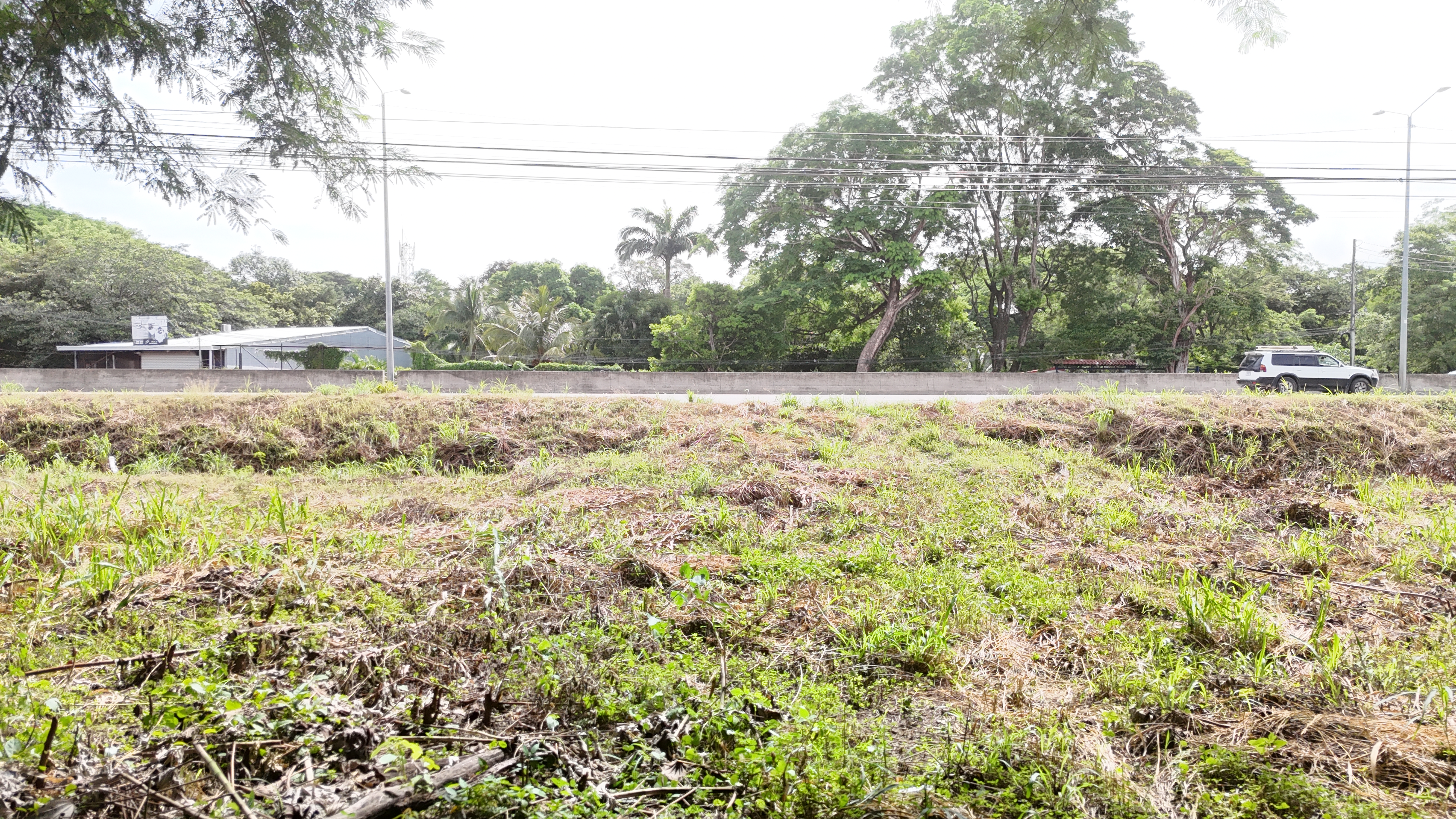 LOTE COMERCIAL RUTA 1 - LIBERIA