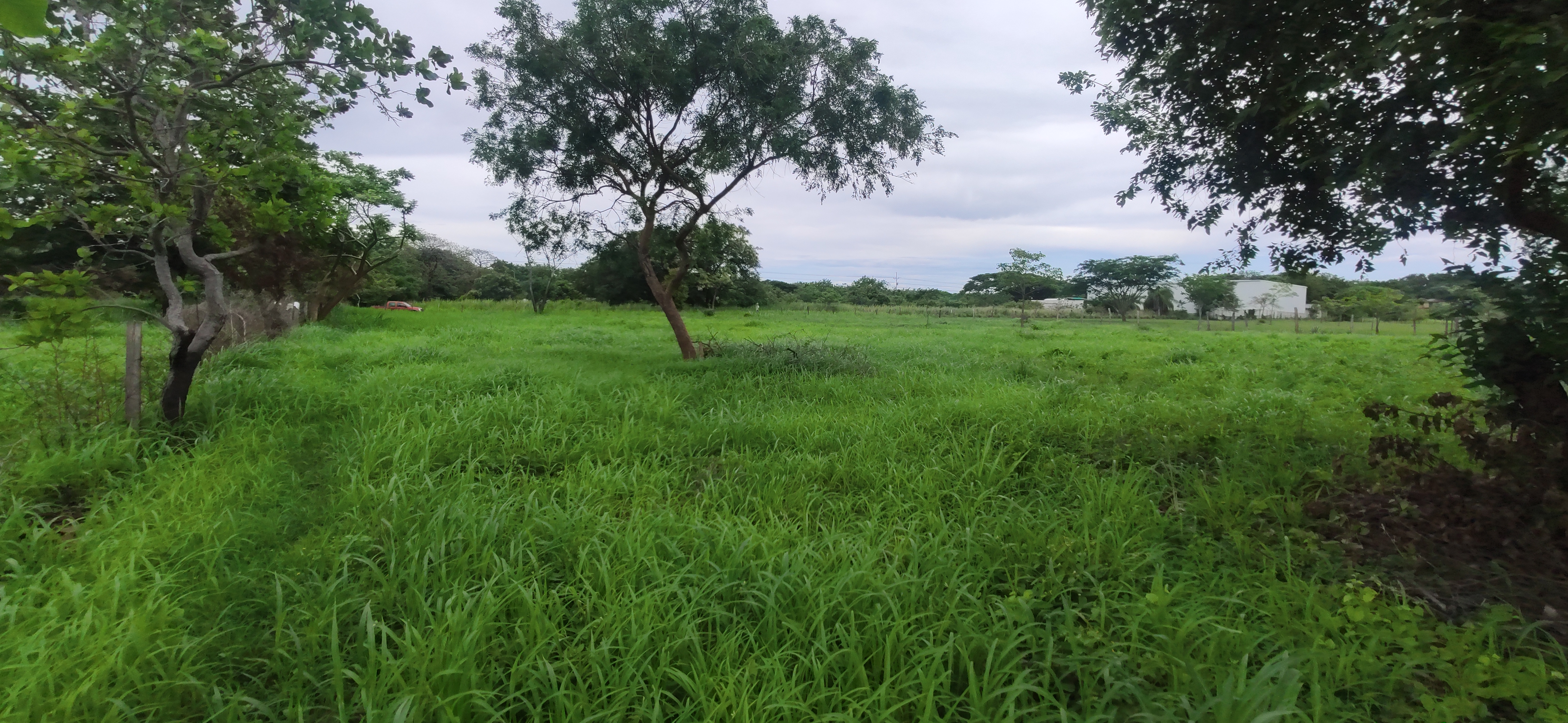 LOTE COMERCIAL EN VENTA SANTA ANA - LIBERIA