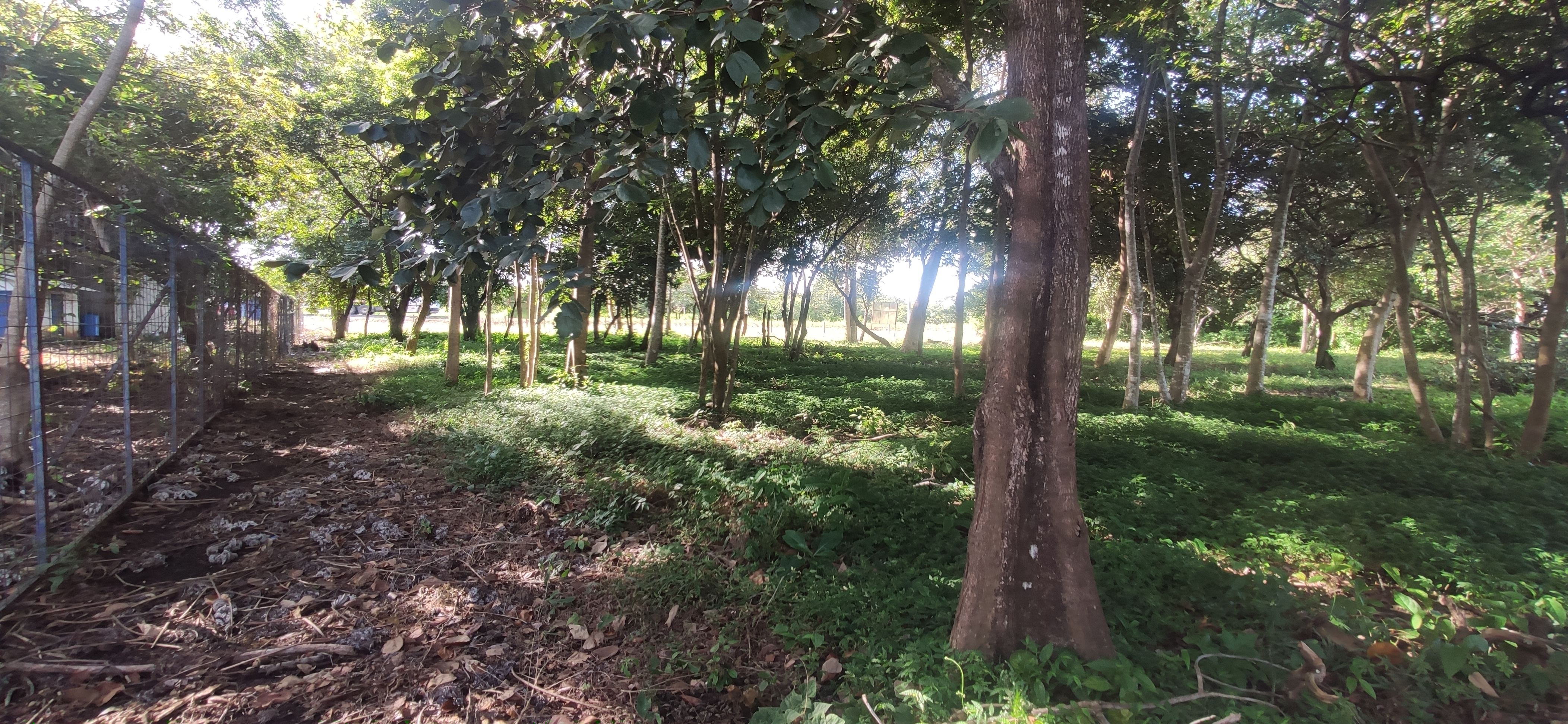 Lote en venta, MG, La Flor, Liberia, Guanacaste