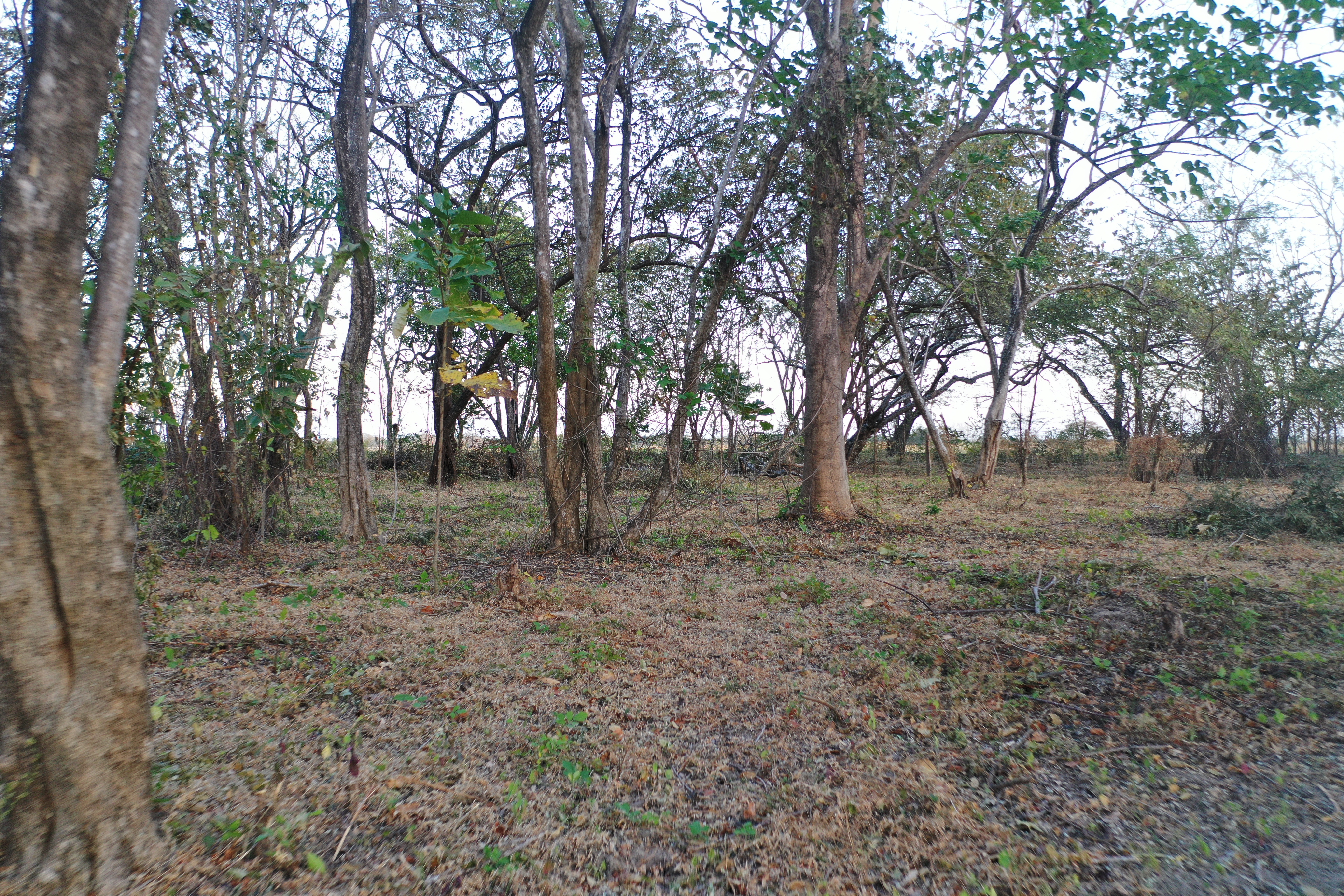 Lotes en venta LA JUANISLAMA, Liberia, Guanacaste