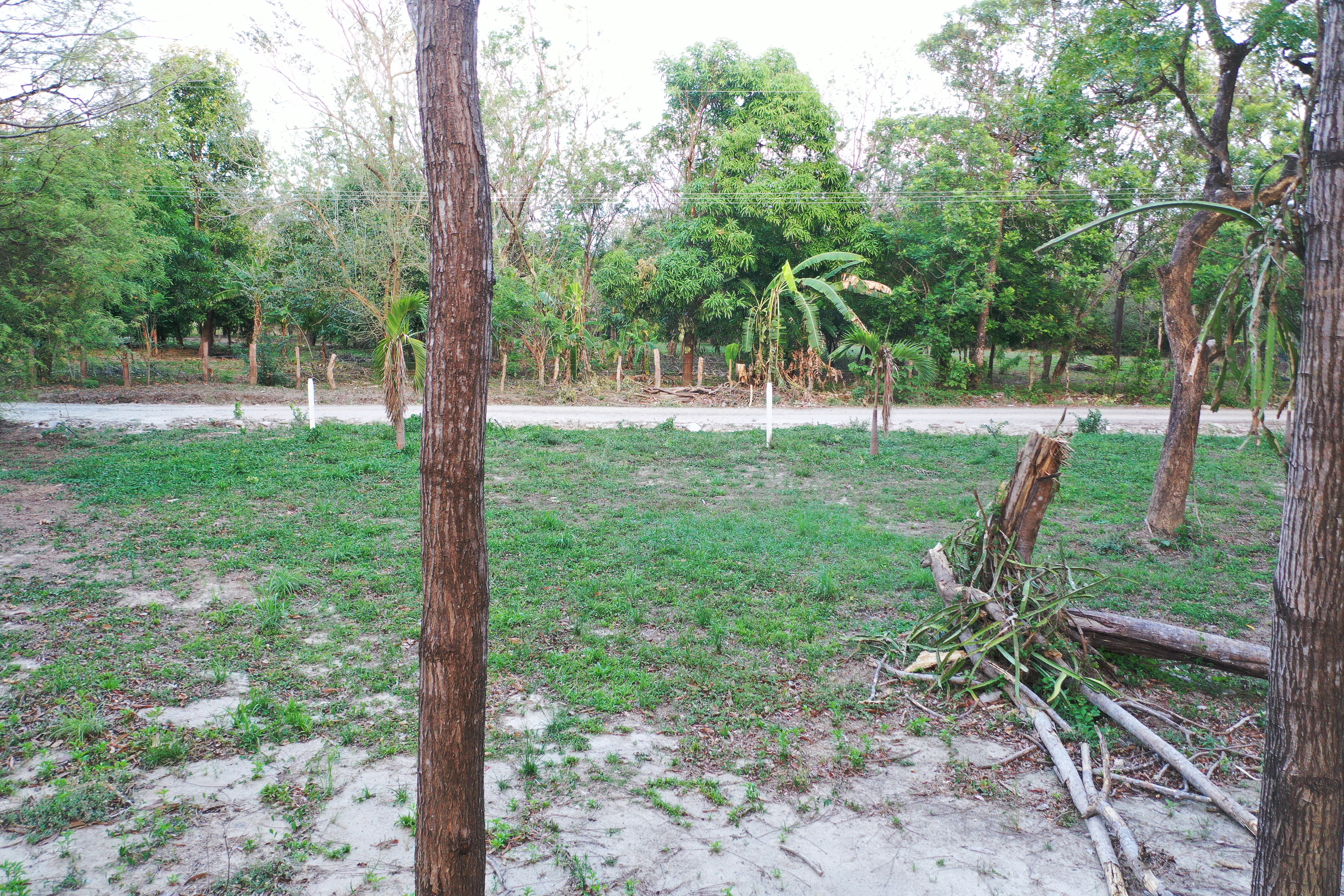 Lotes en venta Bosques del Cambalache, Liberia, Guanacaste