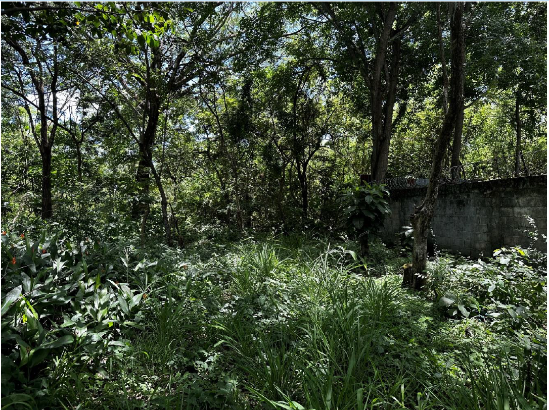 LOTE EN VENTA - LIBERIA | BARRIO LA CRUZ