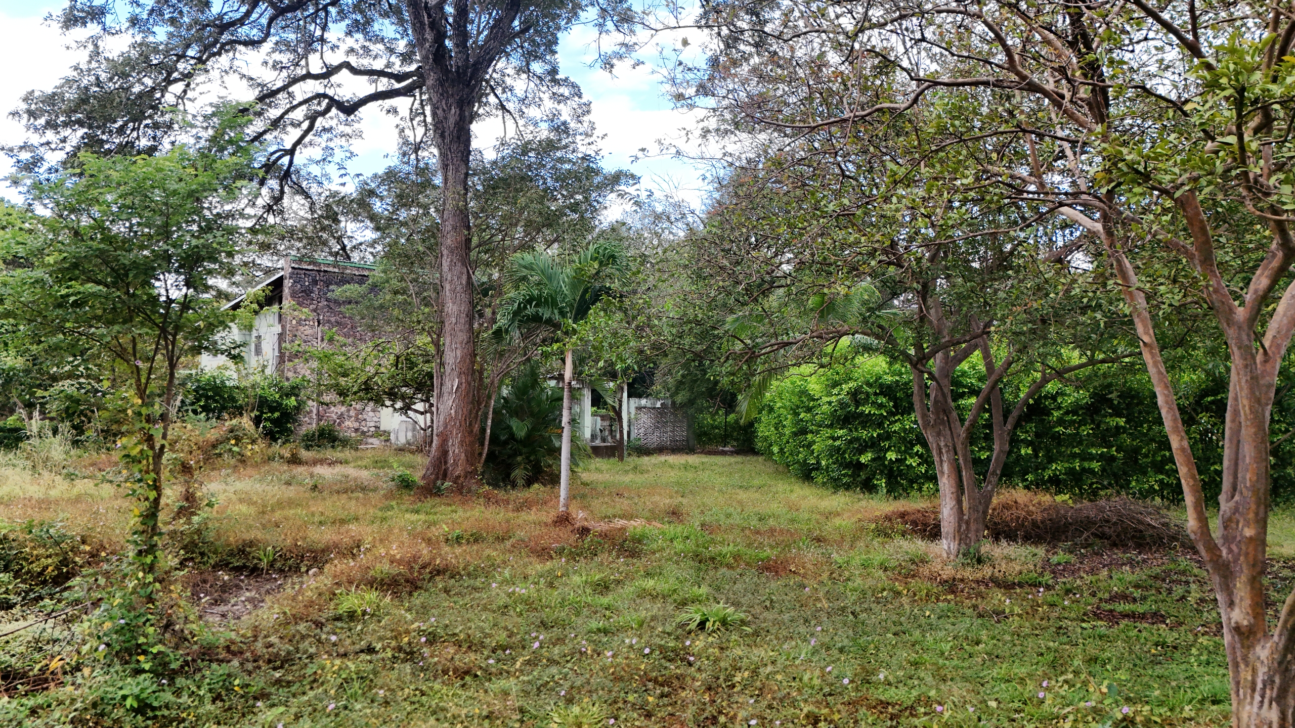 LOTE EN VENTA - LA CARAÑA | LIBERIA