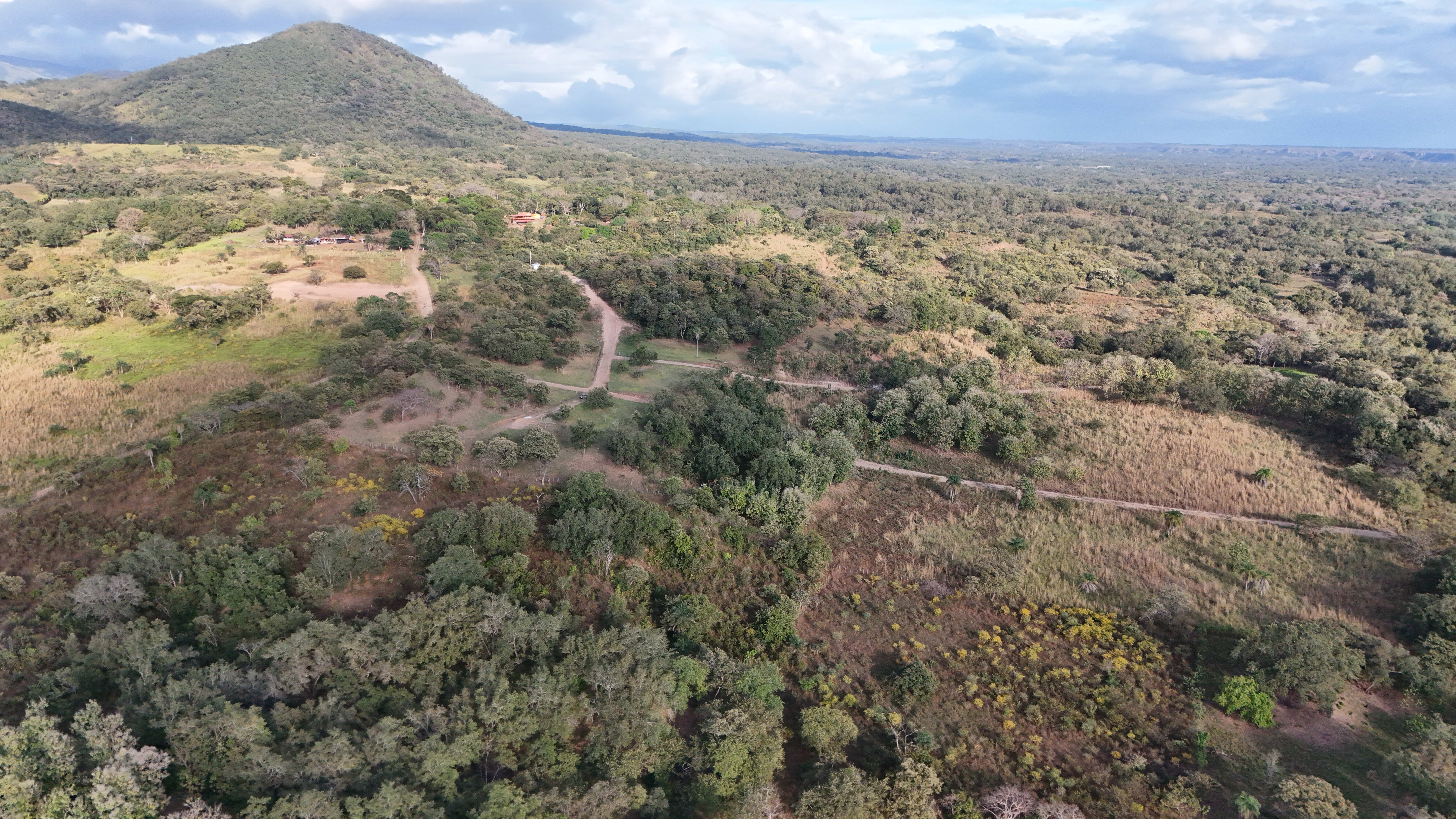 VENDO TERRENOS DE 5000m² - CAÑAS DULCES | LIBERIA