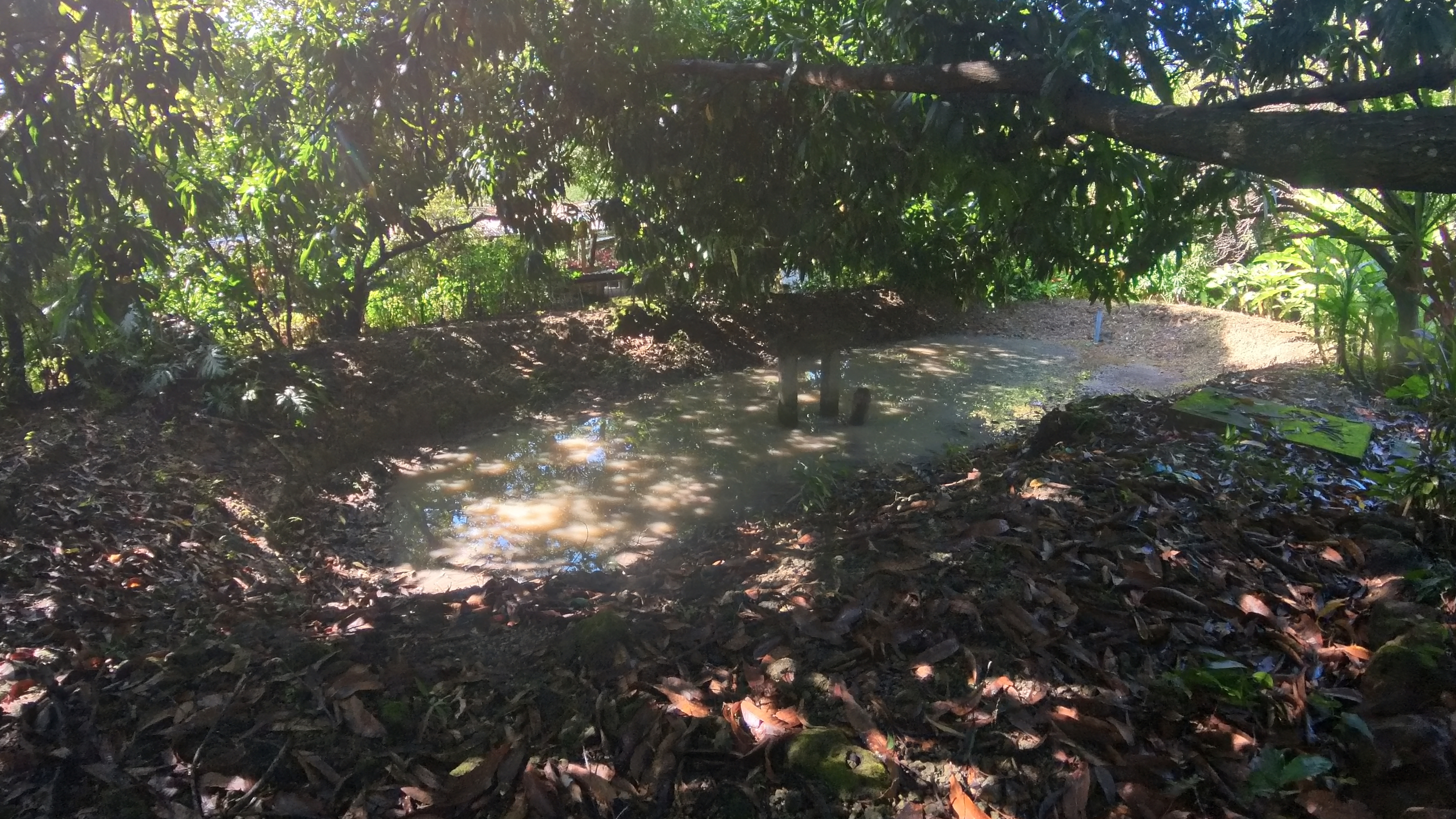 COUNTRY SIDE HOUSE FOR SALE QUINTAS DON MIGUEL - BAGACES