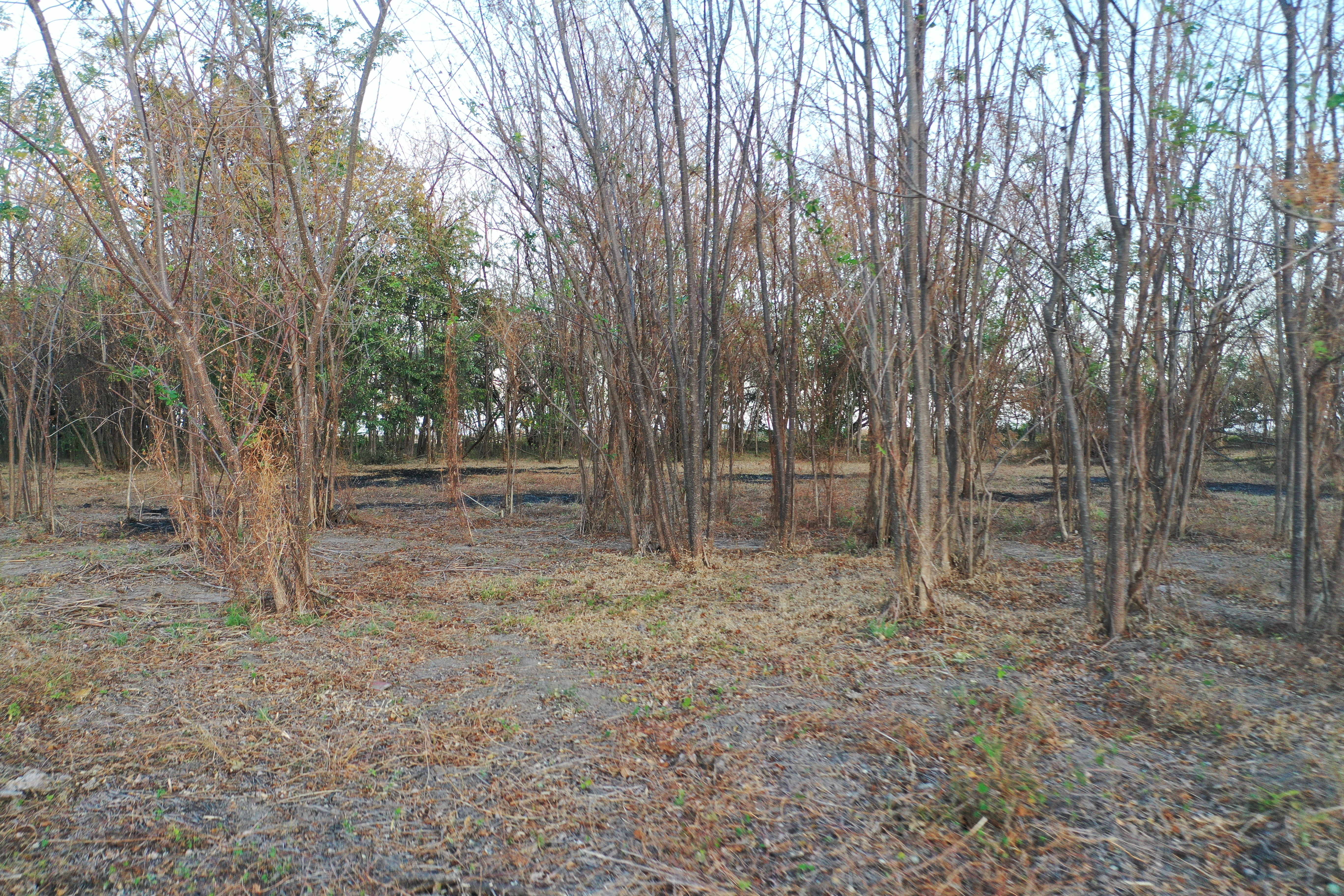 Lotes en venta LA JUANISLAMA, Liberia, Guanacaste