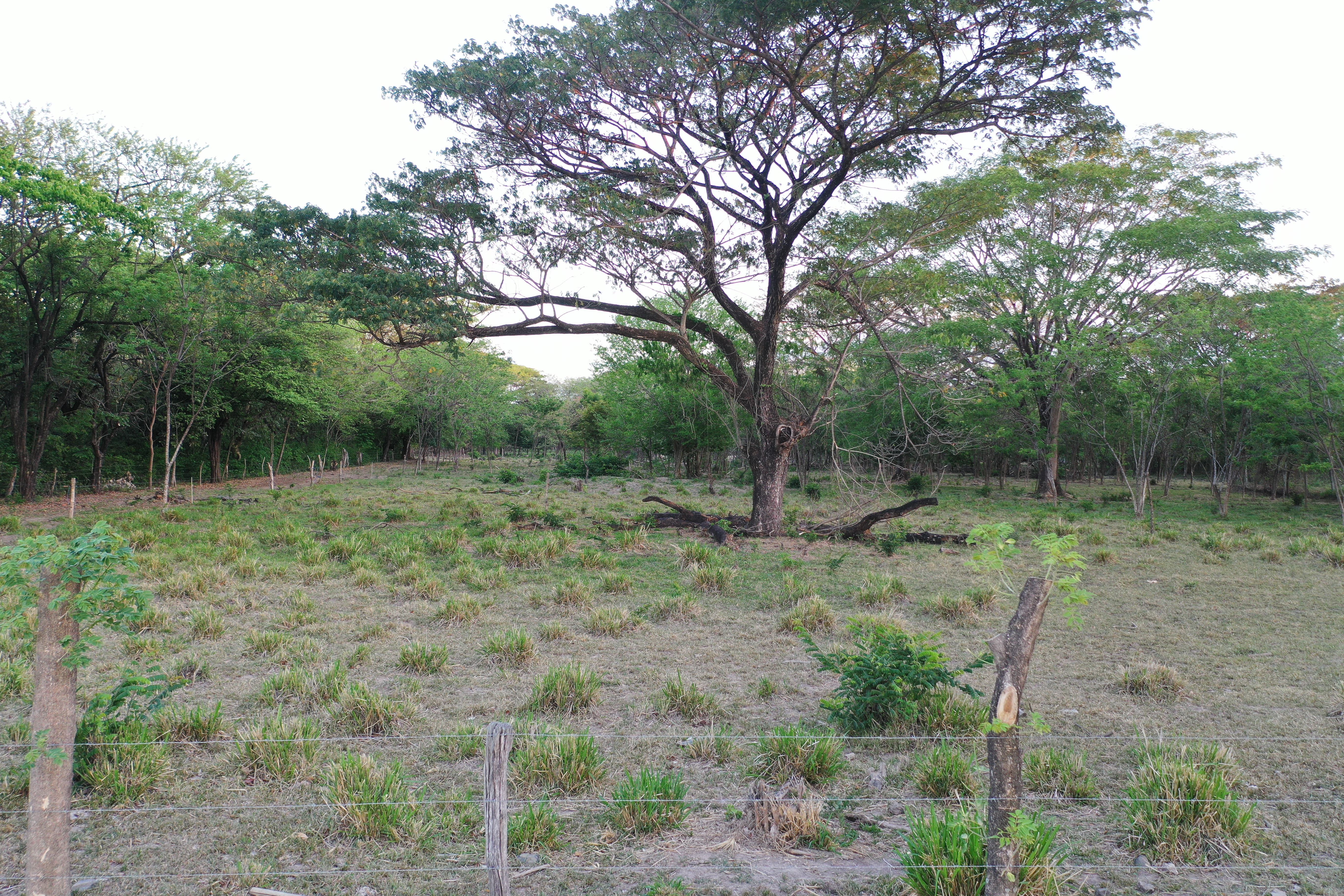 Lotes en venta para construir El Trapiche, Liberia, Guanacaste