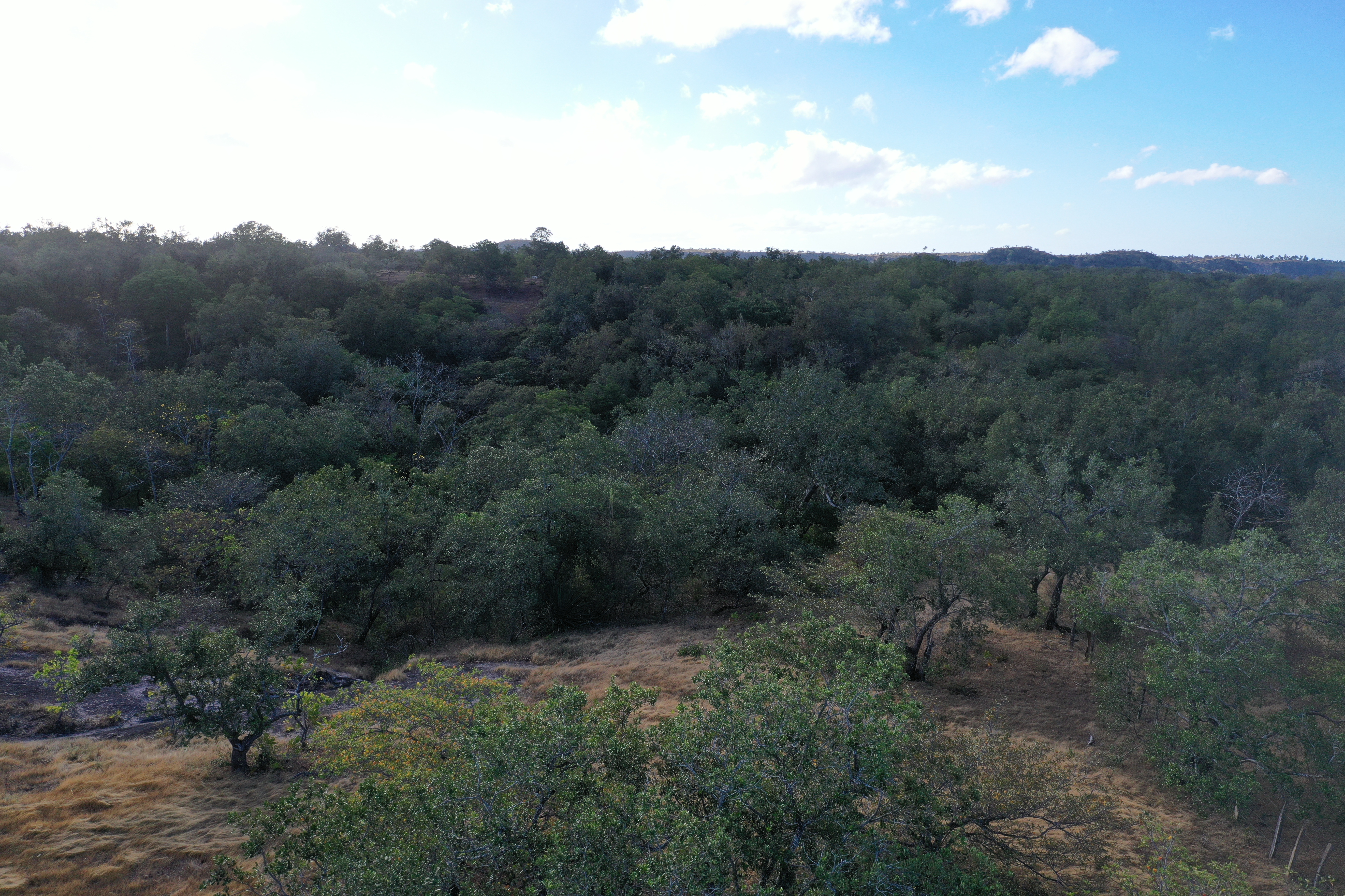 FARM FOR SALE - CURUBANDE | LIBERIA