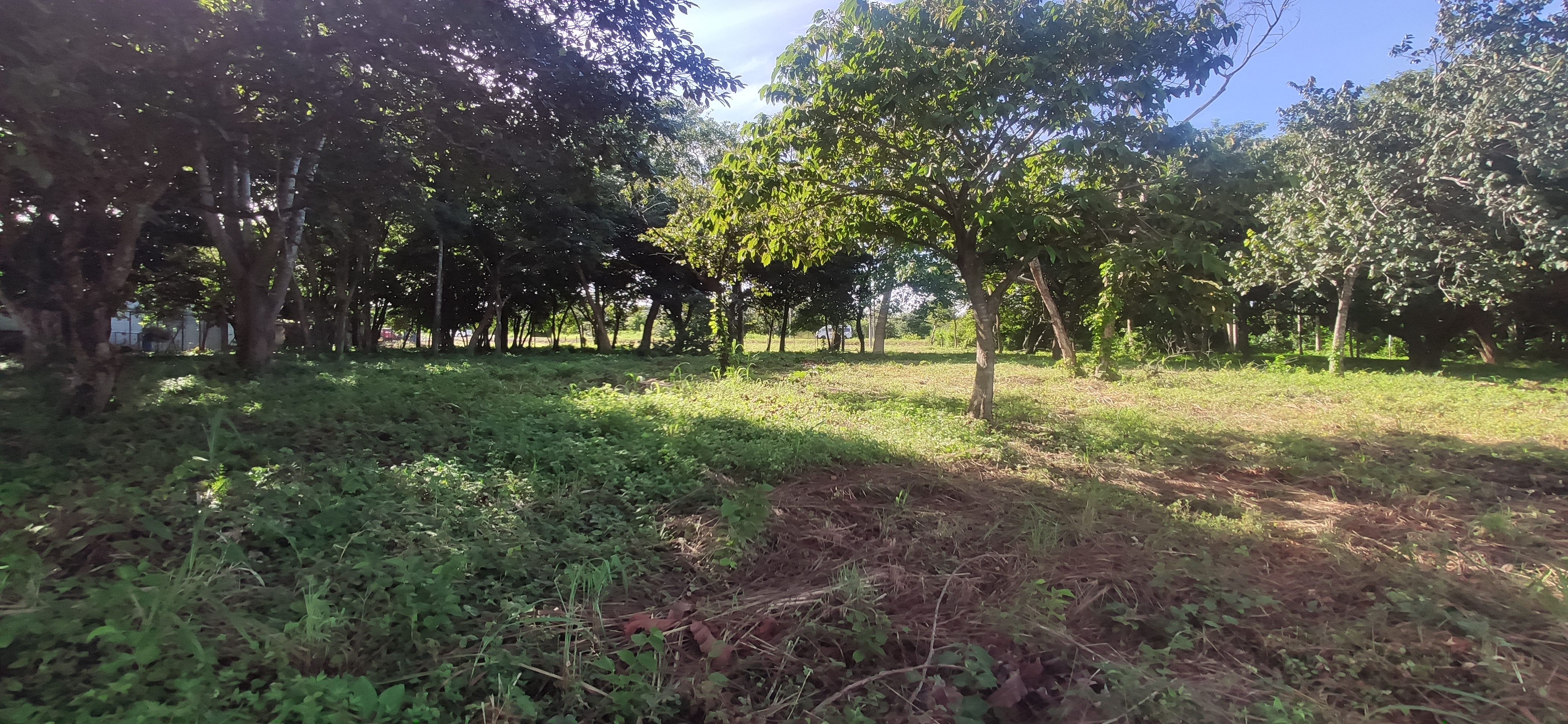 Lote en venta, MG, La Flor, Liberia, Guanacaste