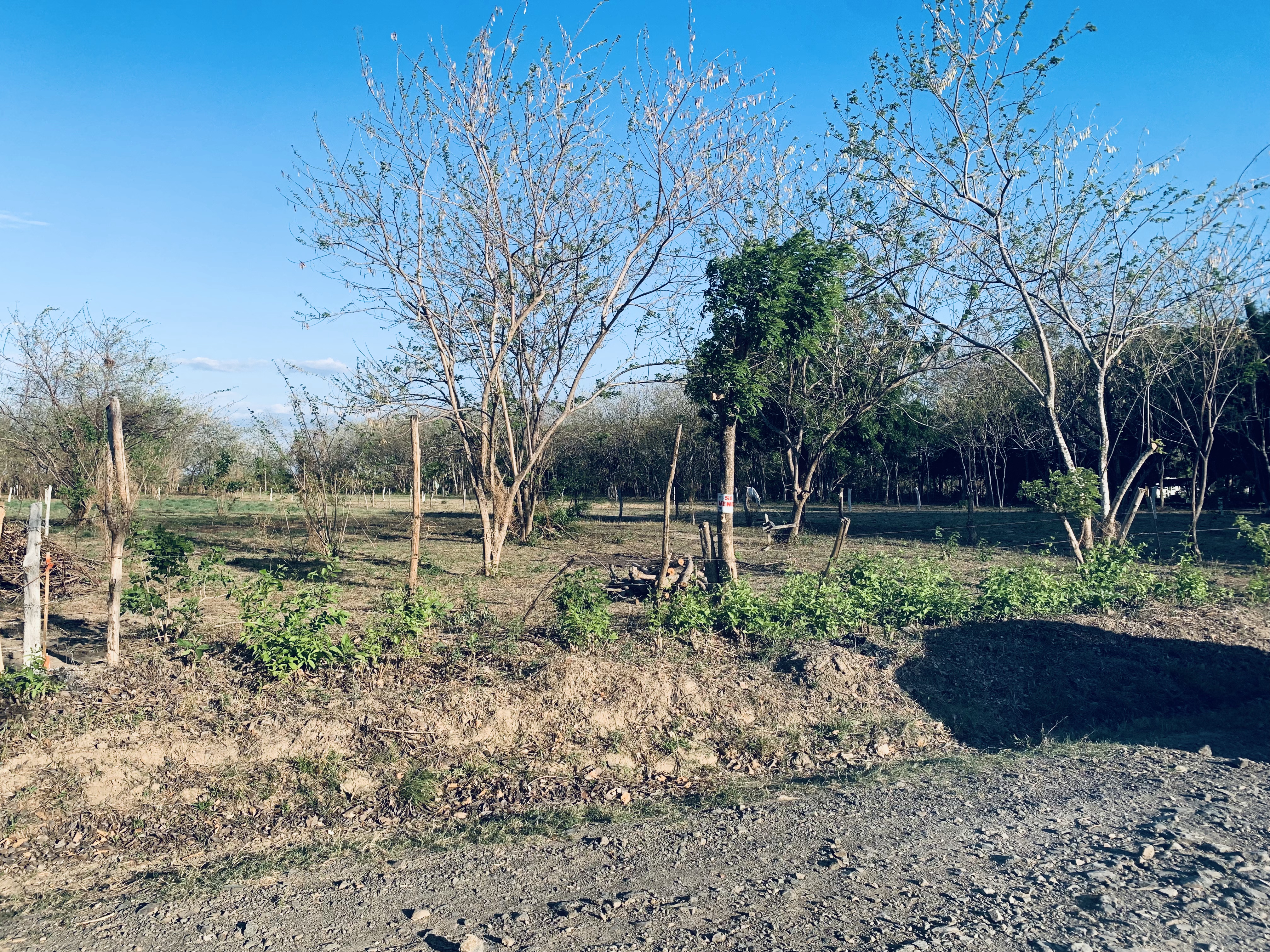 Lotes en venta LA JUANISLAMA, Liberia, Guanacaste