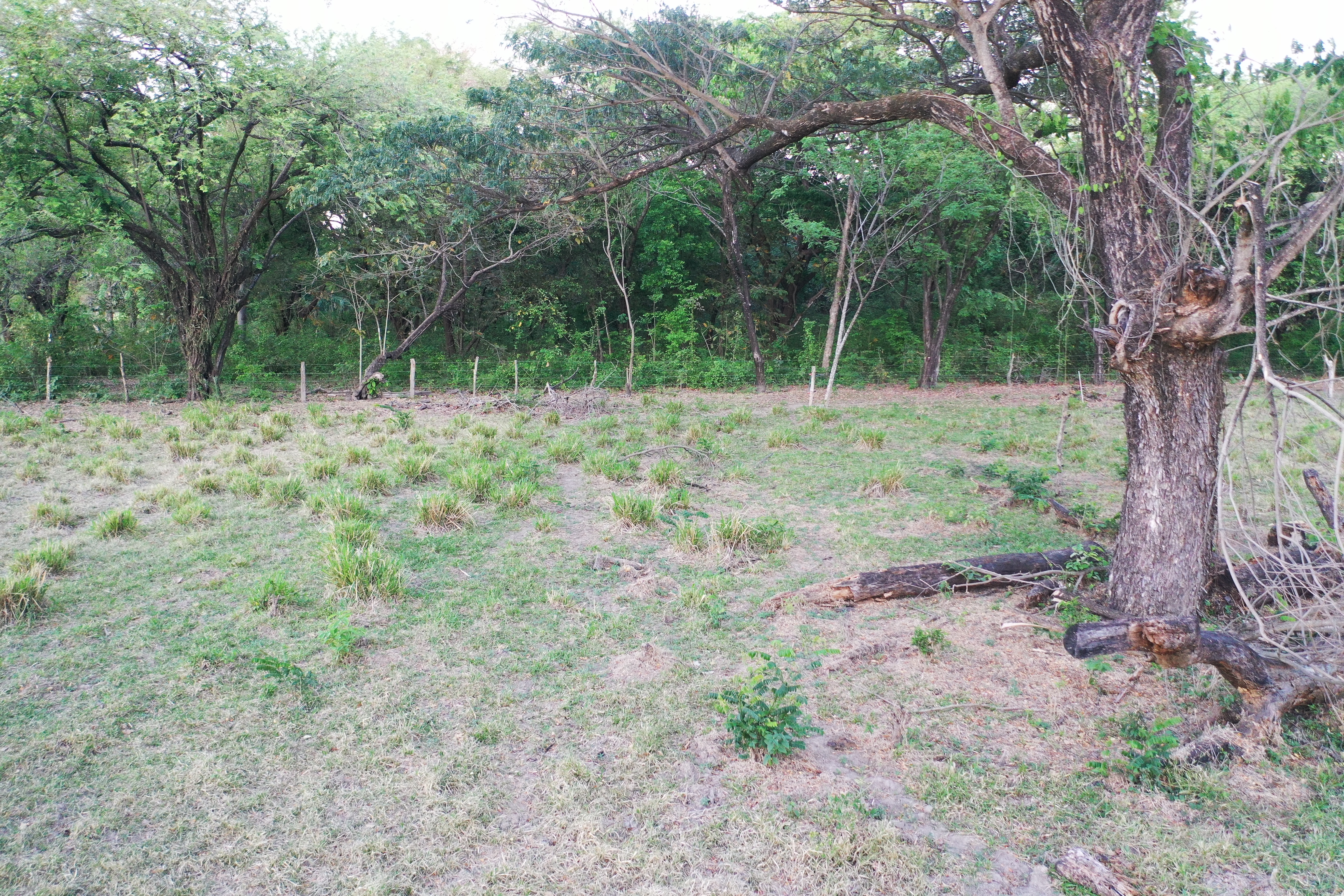 Lotes en venta para construir El Trapiche, Liberia, Guanacaste