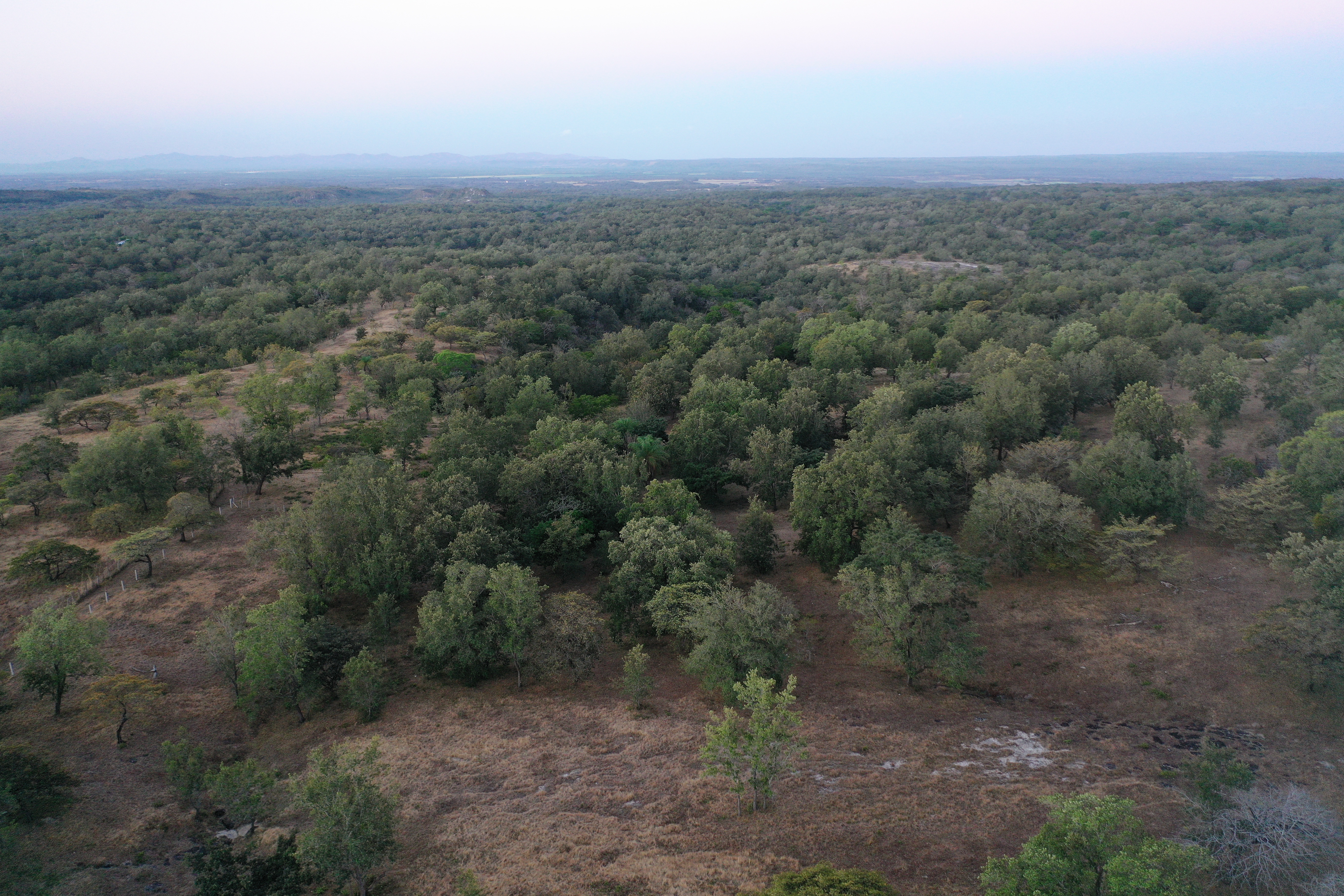FARM FOR SALE - CURUBANDE | LIBERIA