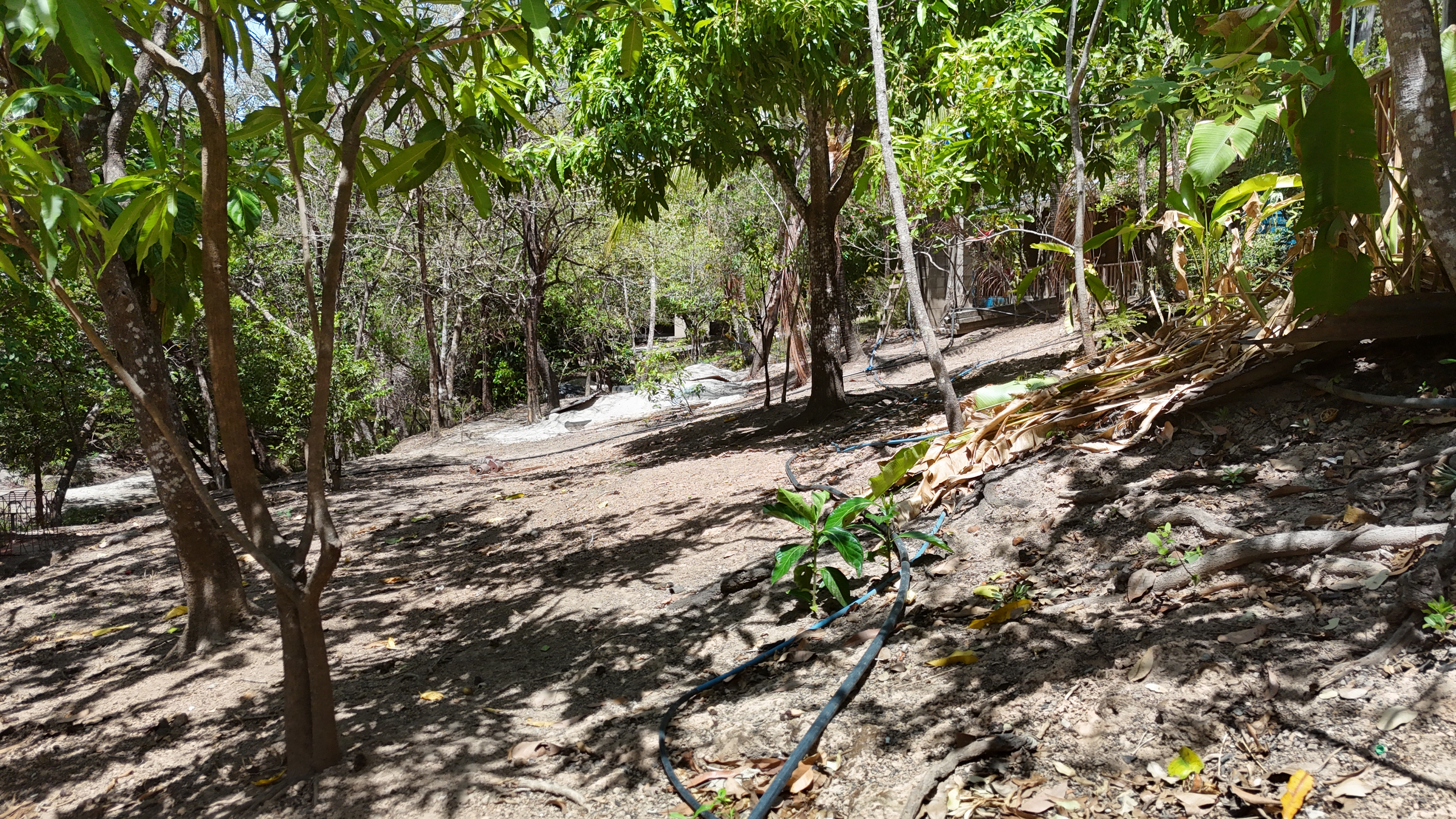 FINCA EN VENTA - EL ESCOBIO | LIBERIA