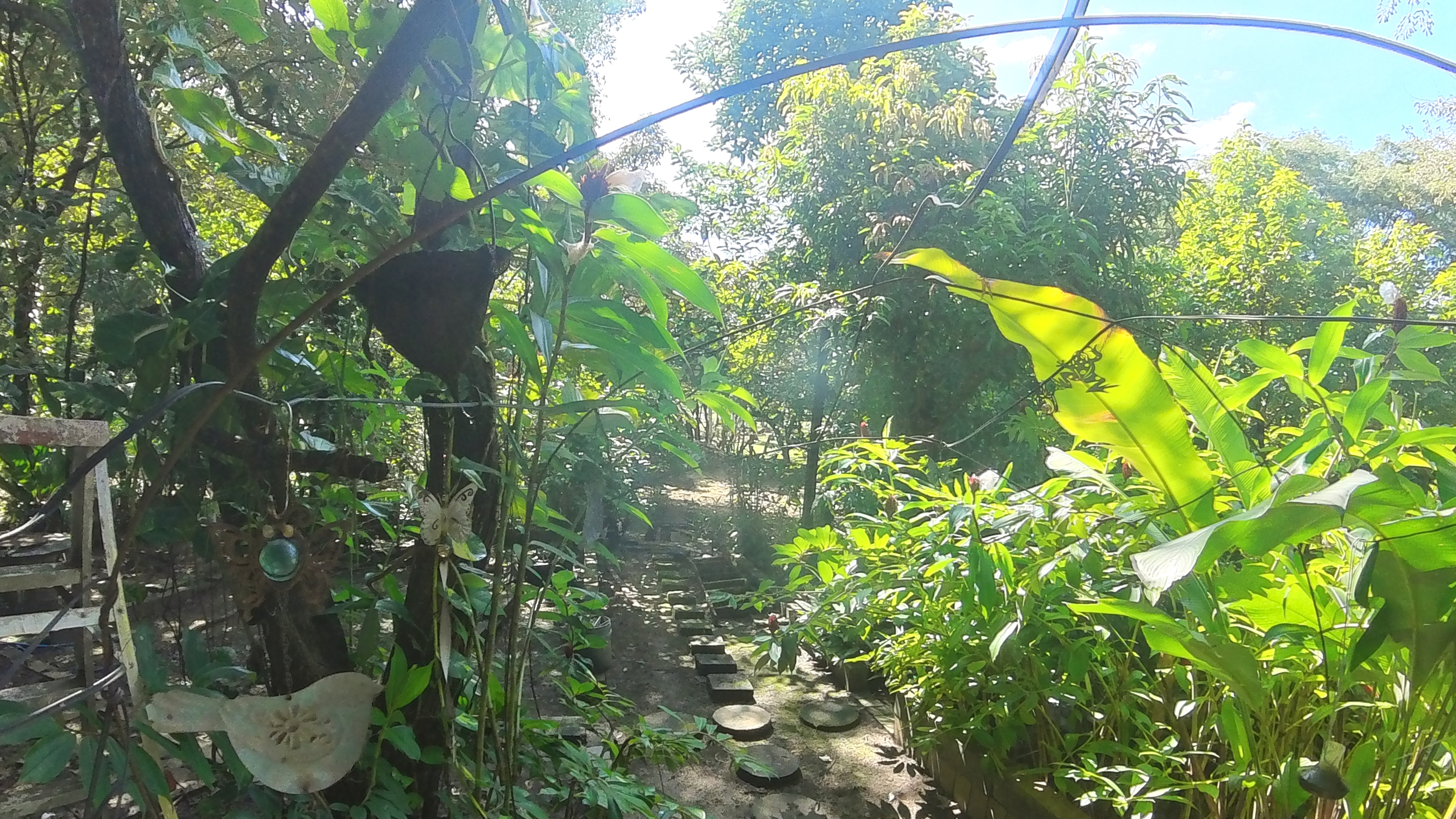 COUNTRY SIDE HOUSE FOR SALE QUINTAS DON MIGUEL - BAGACES