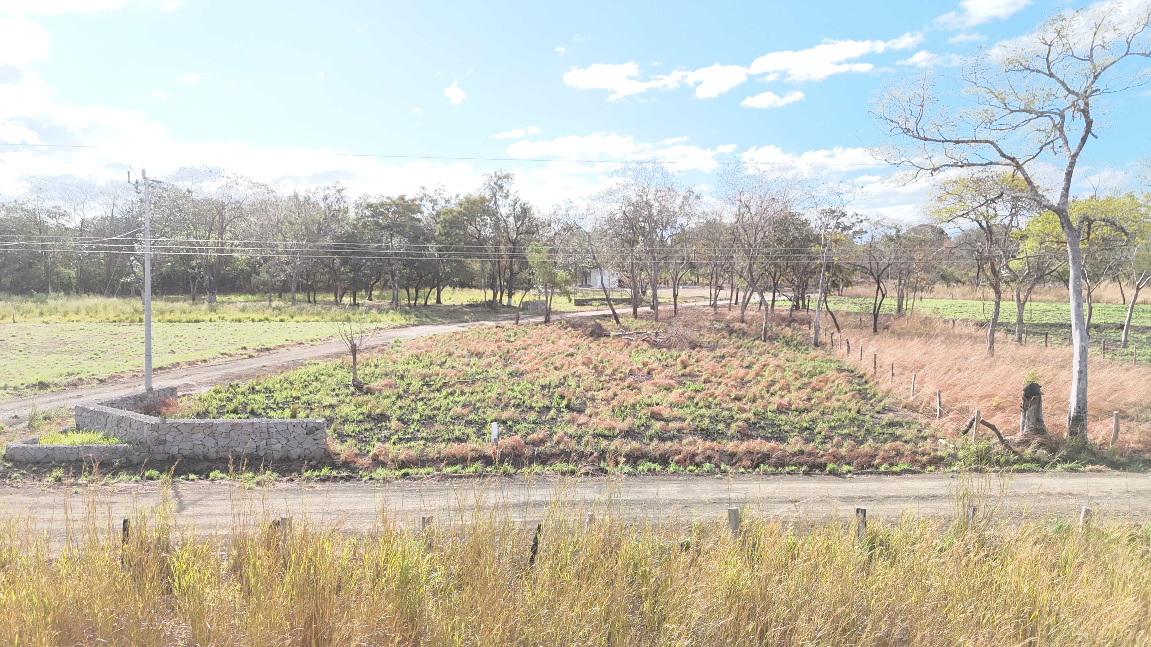 LOTES EN VENTA RODEITO - LIBERIA