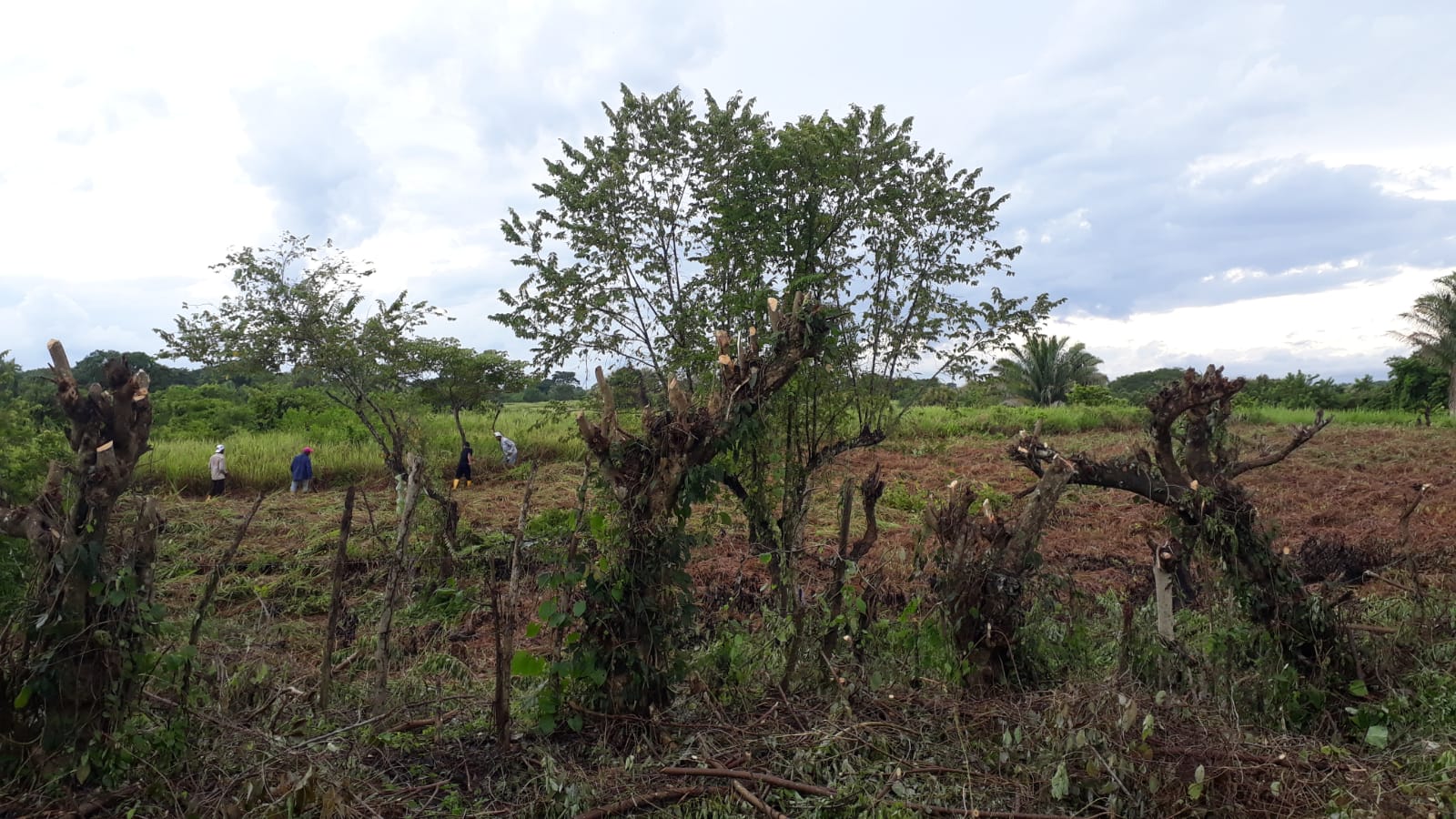 VENTA TERRENO - SAN ANTERO