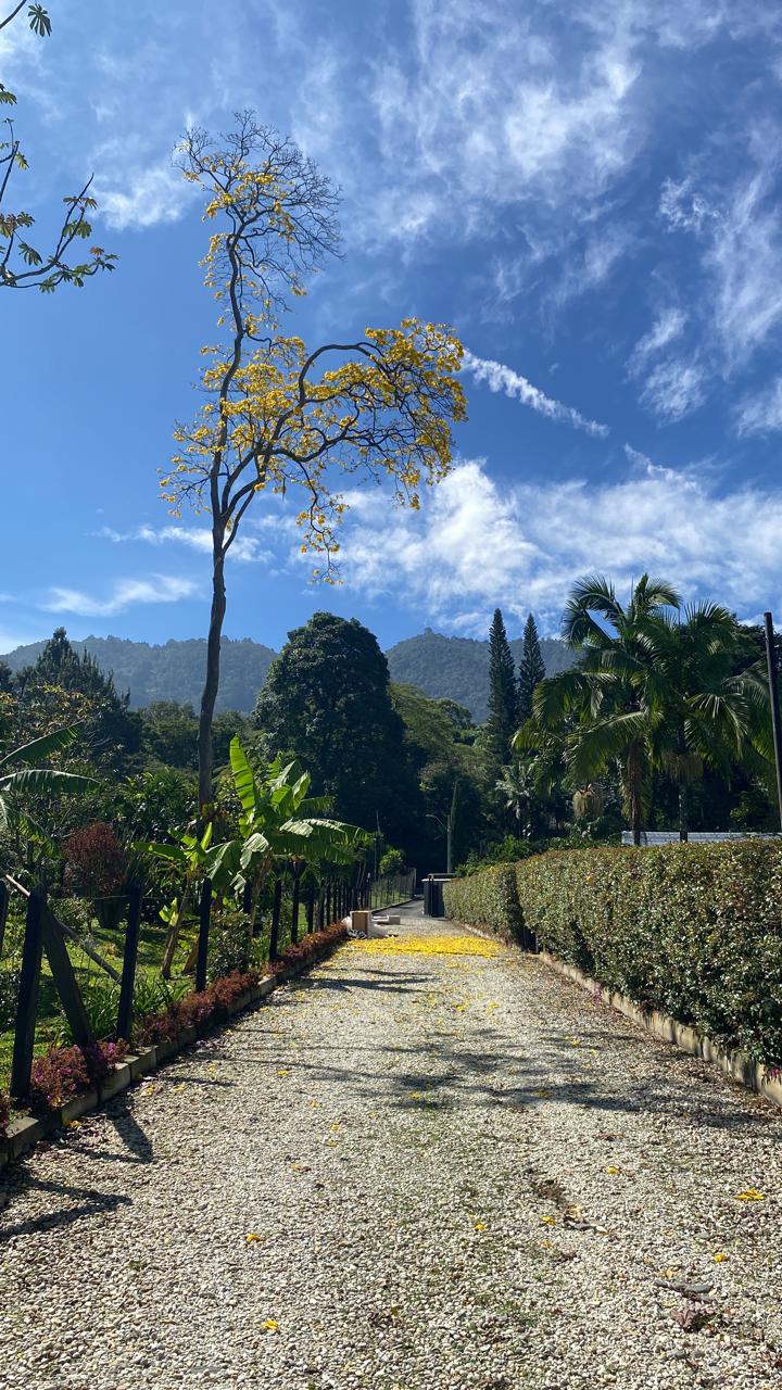 ARRIENDO CASA - ENVIGADO ESCOBERO