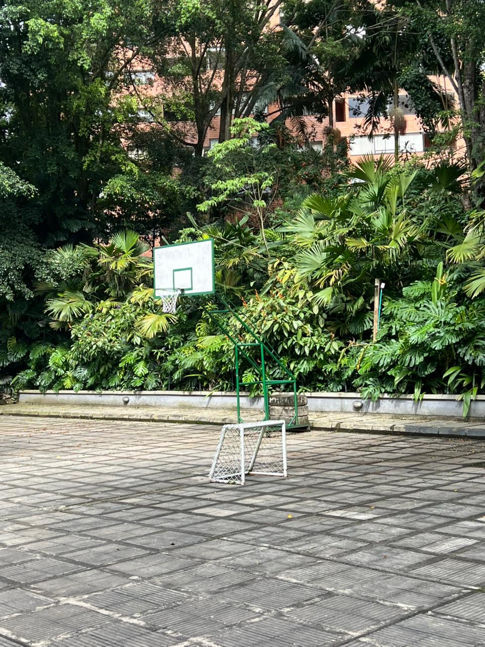 ARRIENDO APARTAMENTO, POBLADO LA CONCHA