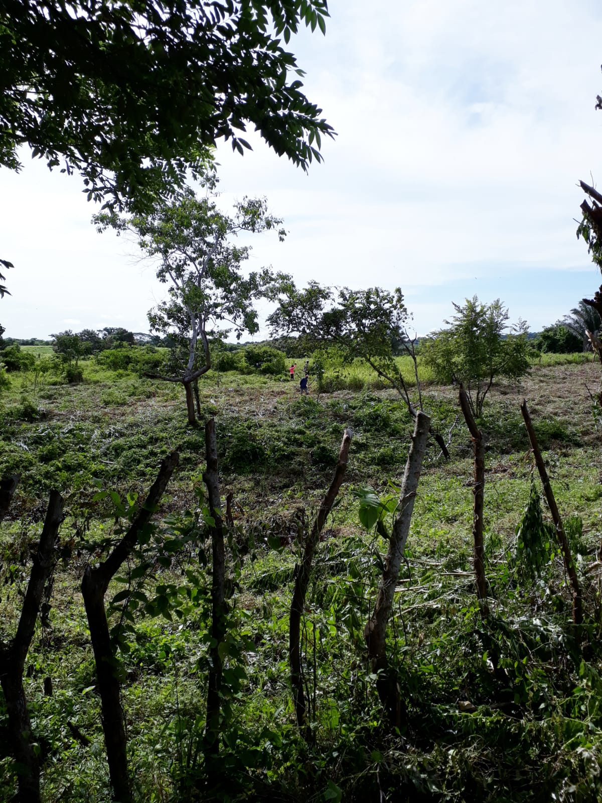 VENTA TERRENO - SAN ANTERO