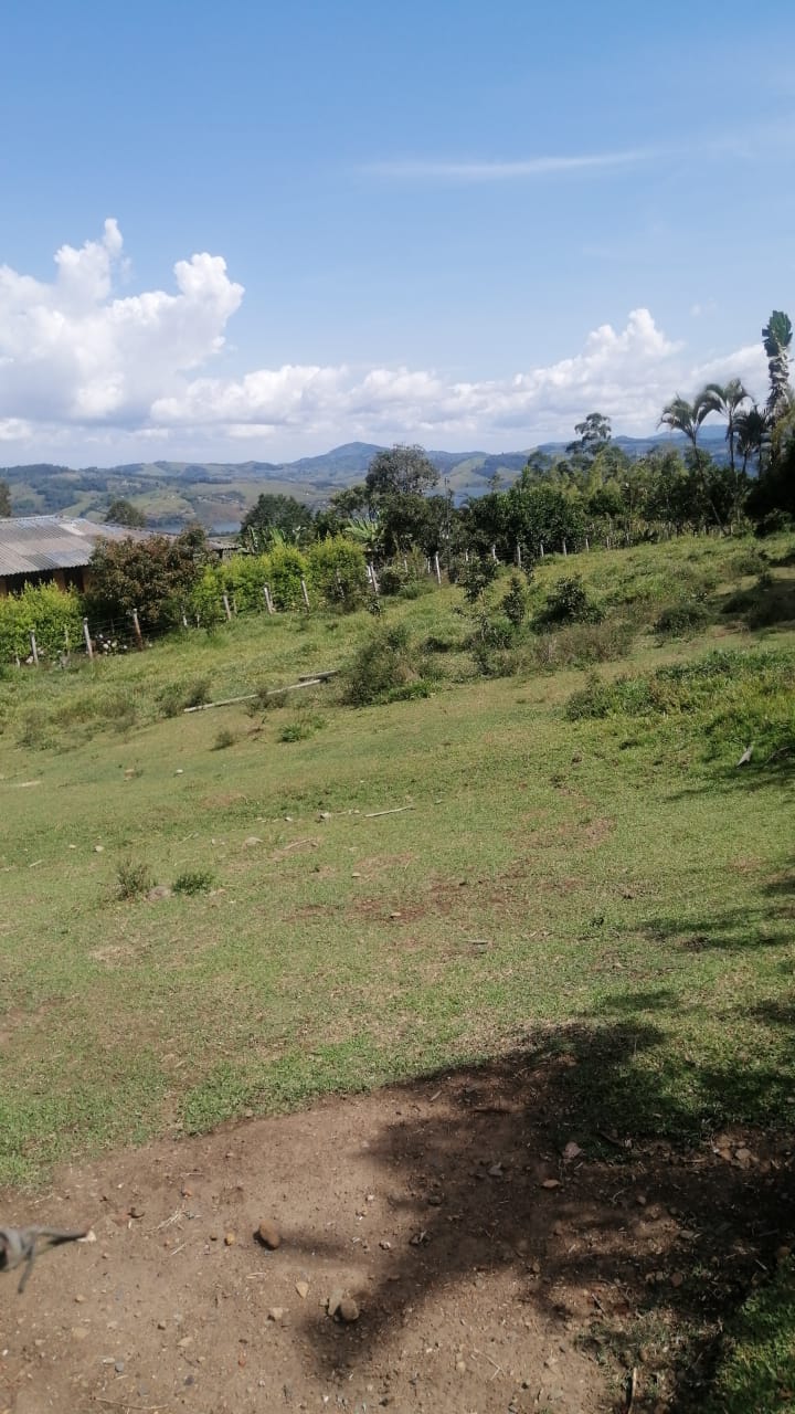 Vendo Lote Semi Plano En Lago Calima 