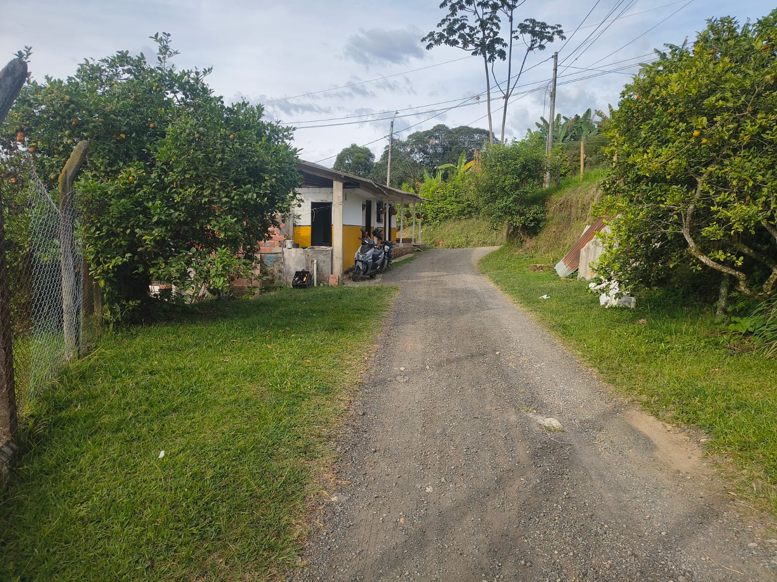 Foto 4