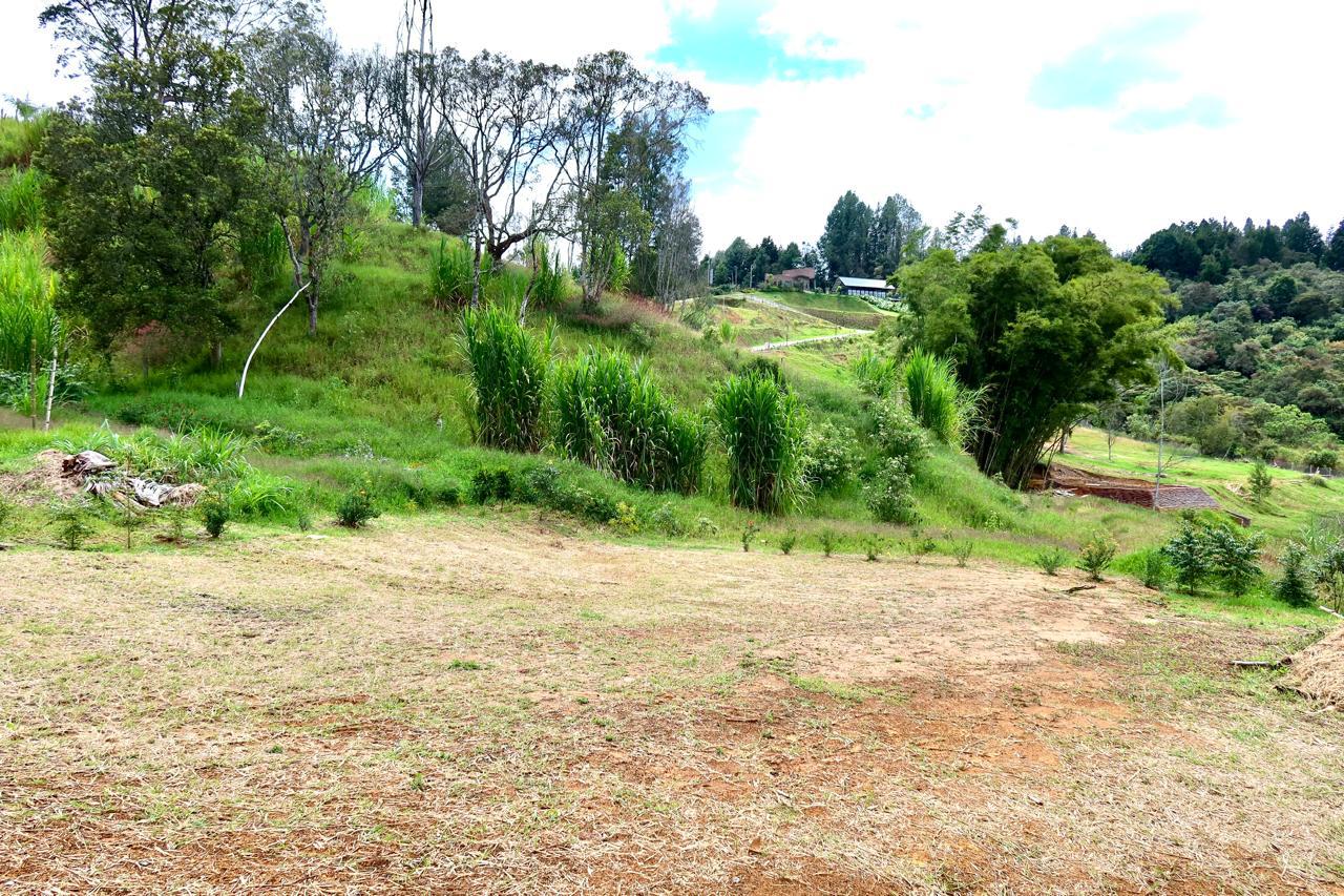 LOTE EN VENTA EN GUARNE ANTIOQUIA