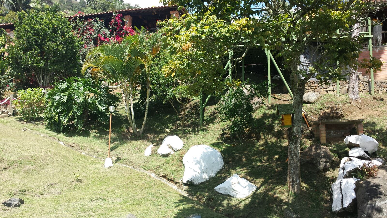 Miniatura 10
