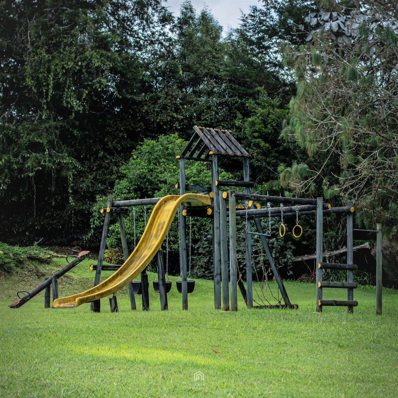 Miniatura 12