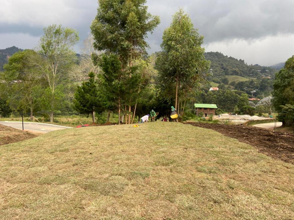 Imagen principal