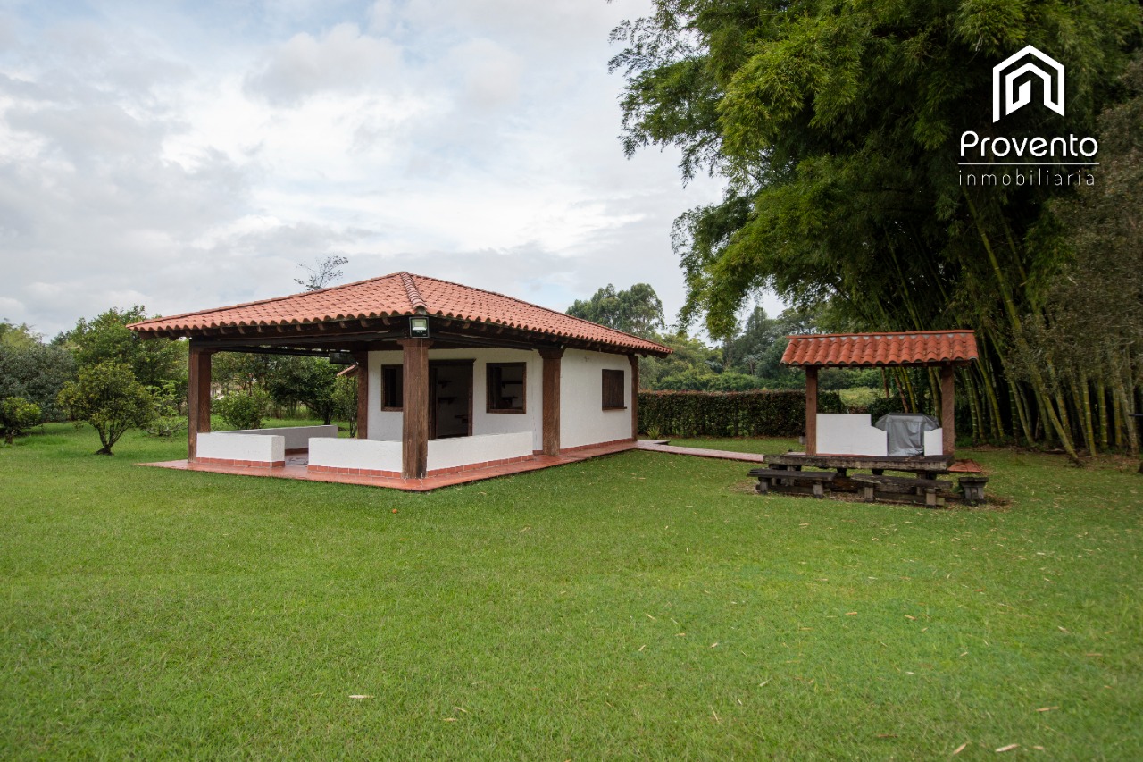 Miniatura 14